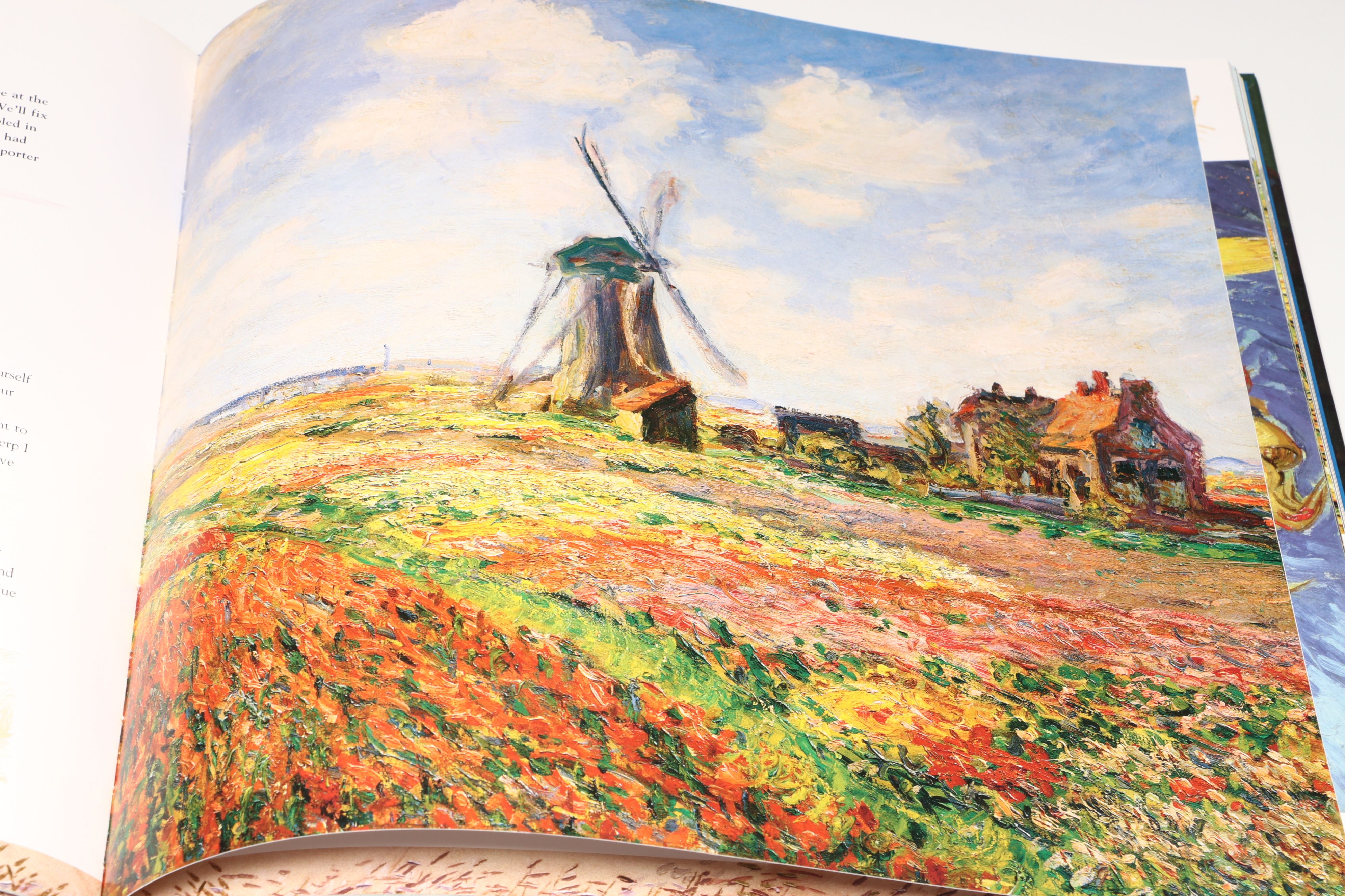 "Vincent Van Gogh Masterworks" and More Modern Art History Books