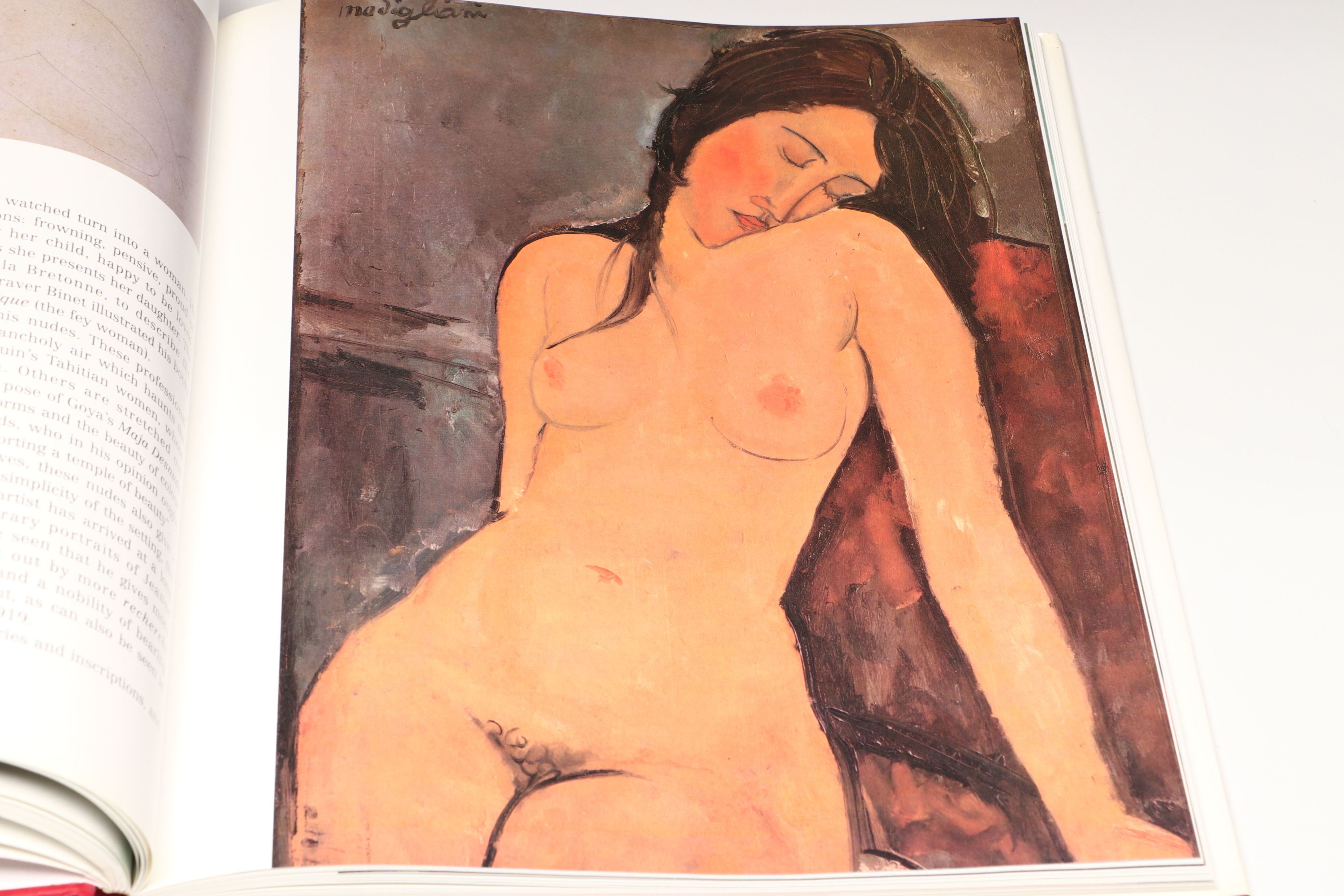 "Modigliani," "Manet," and "Paris Montparnasse" Art History Books