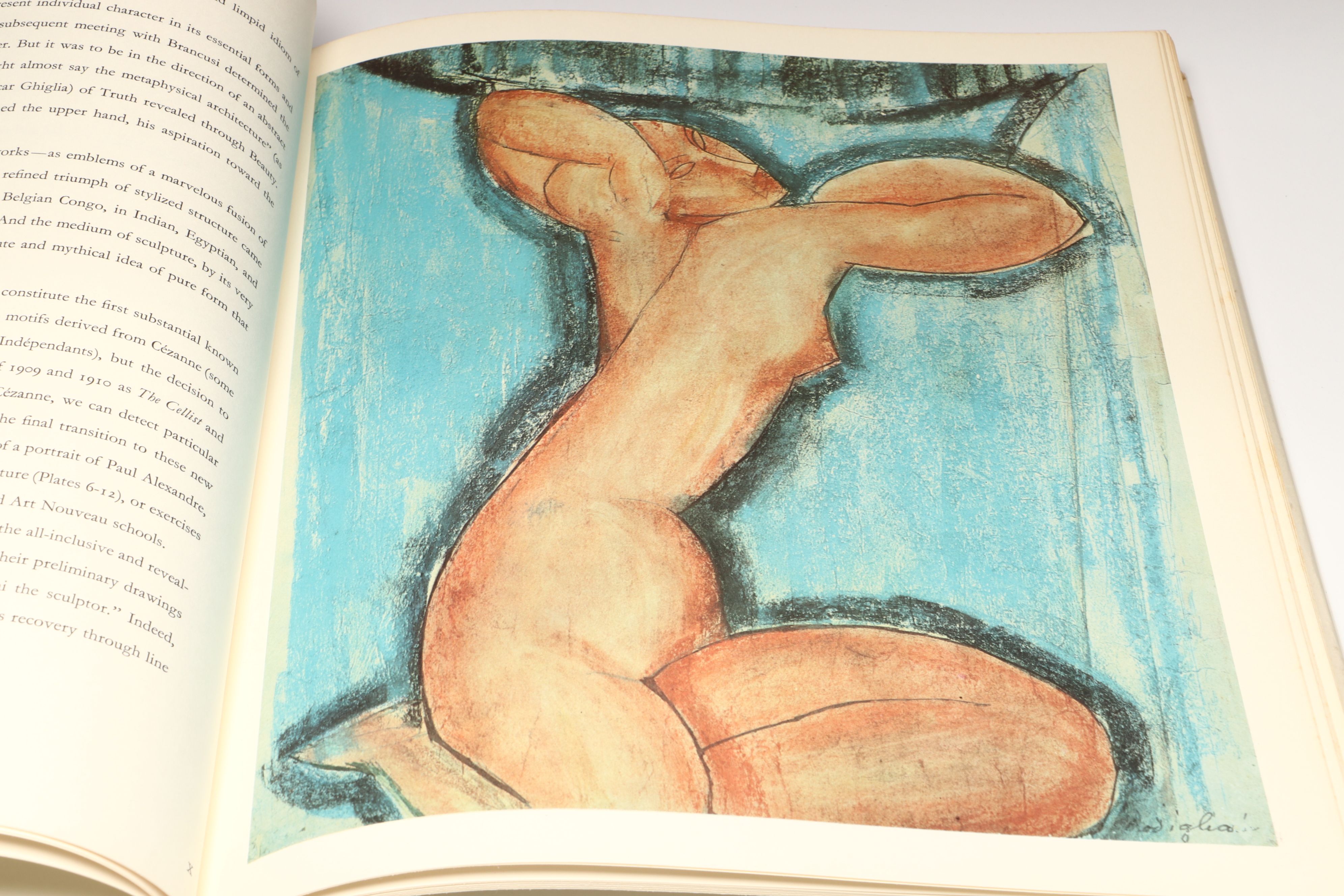 "Modigliani," "Manet," and "Paris Montparnasse" Art History Books
