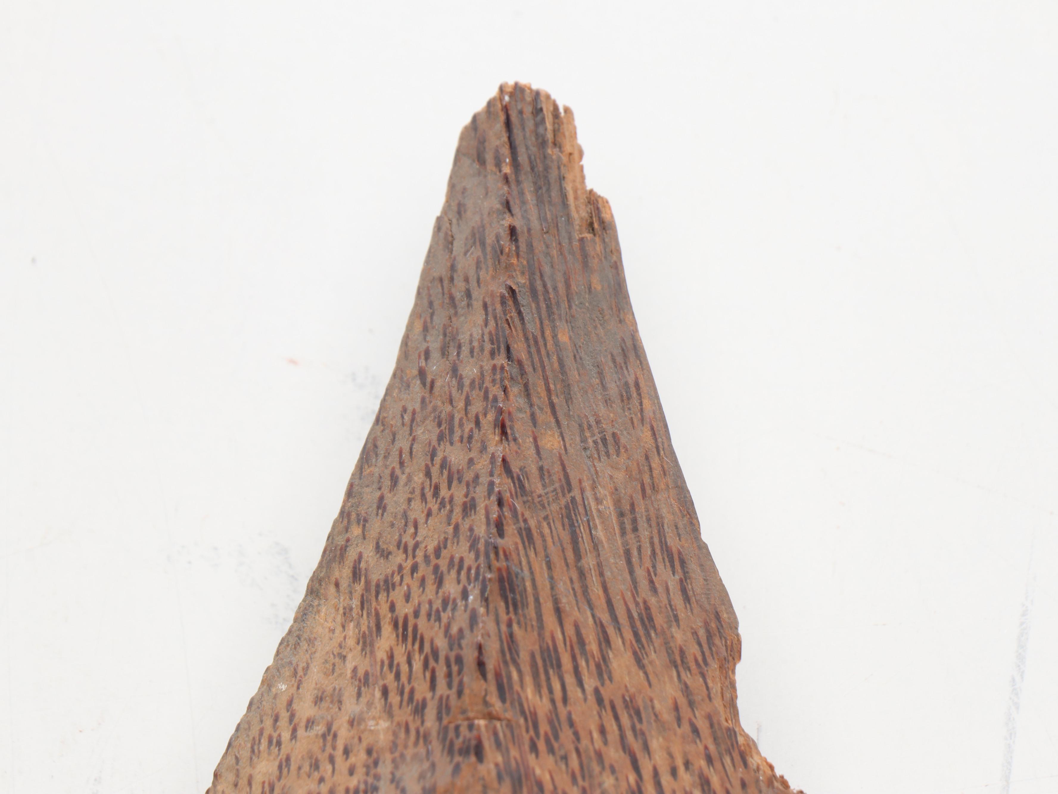 Solomon Islands Supi War Club with Maasai Wooden Walking Spear