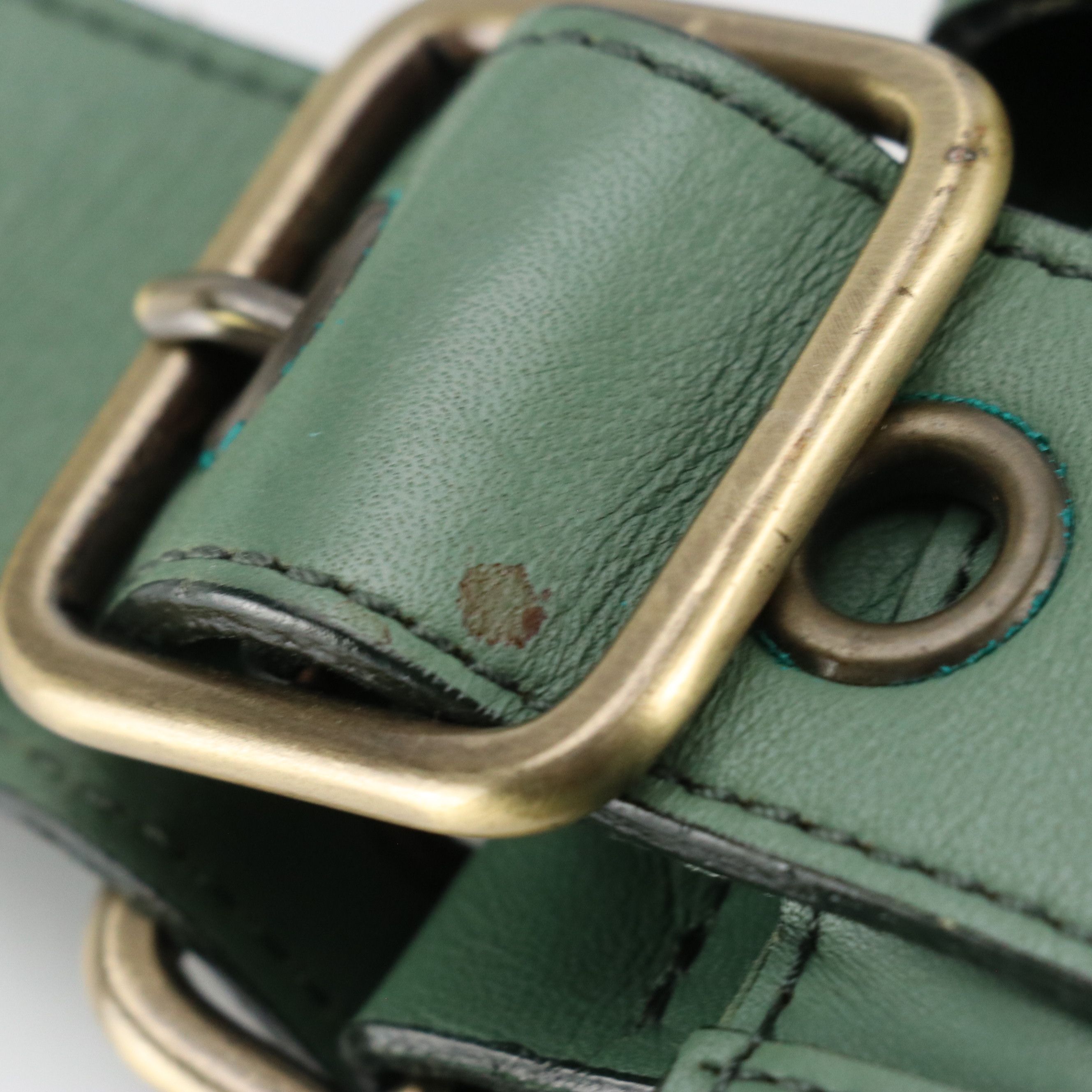 Chloé Logo Plate Handbag in Sea Green Calfskin Leather