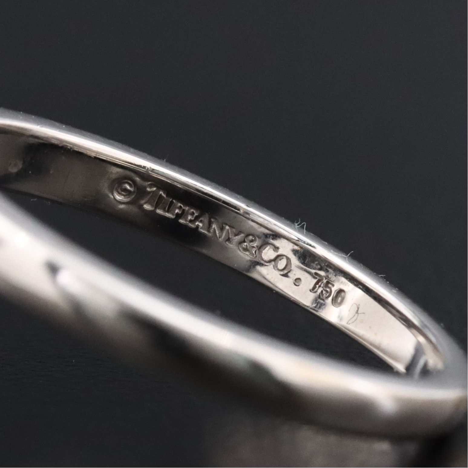 Tiffany & Co. Dragonfly 18K and Diamond Ring