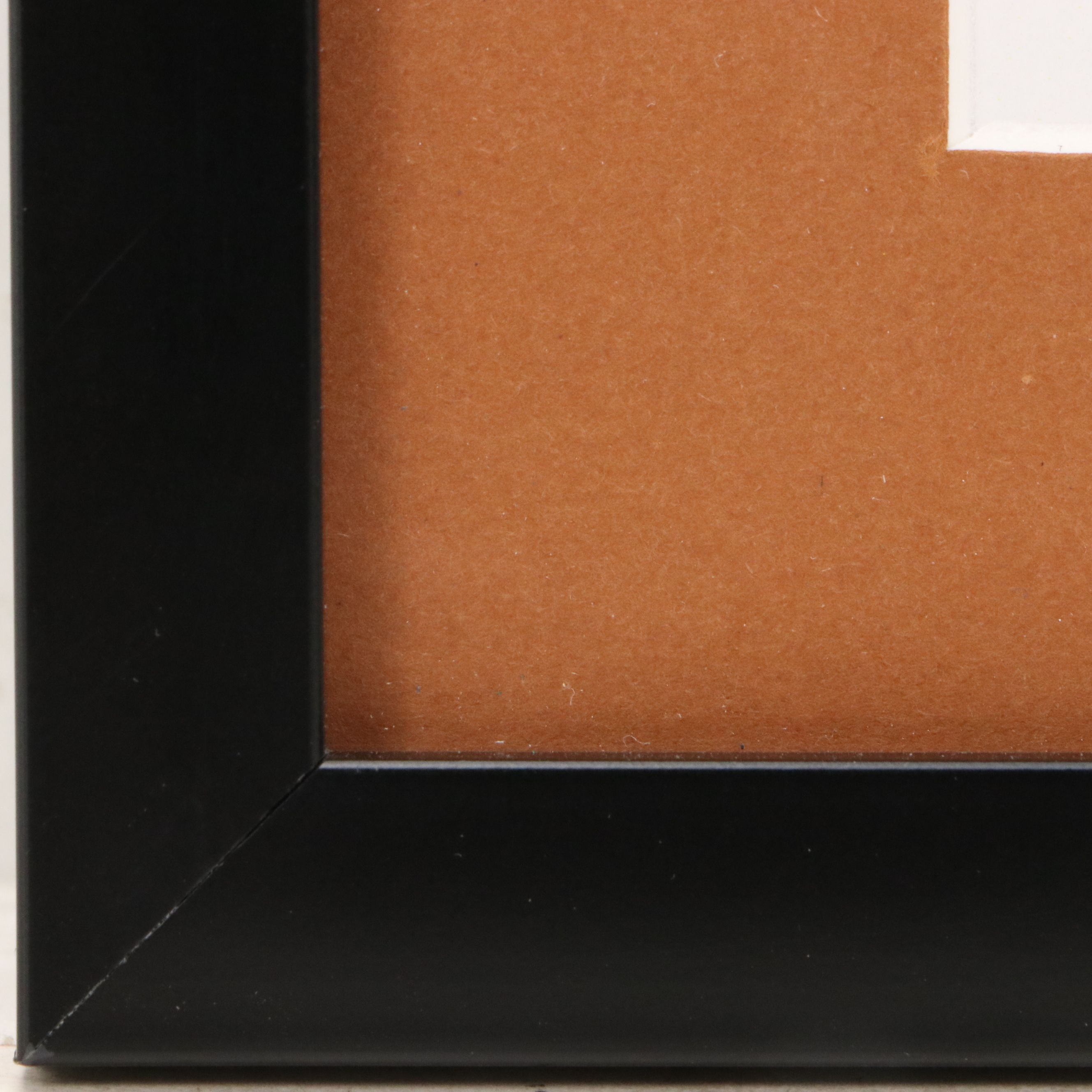 Charley Harper Offset Lithograph "Squirreled Away," 21st Century