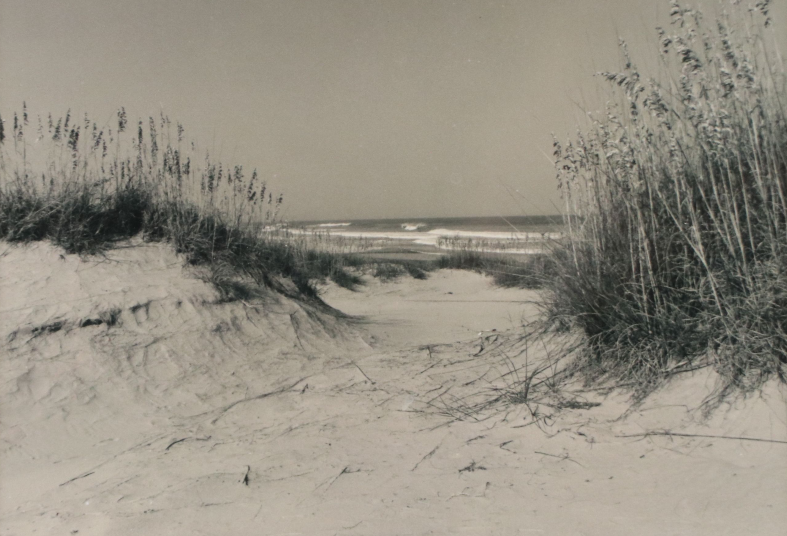 Silver Gelatin Photograph of Beach Landscape