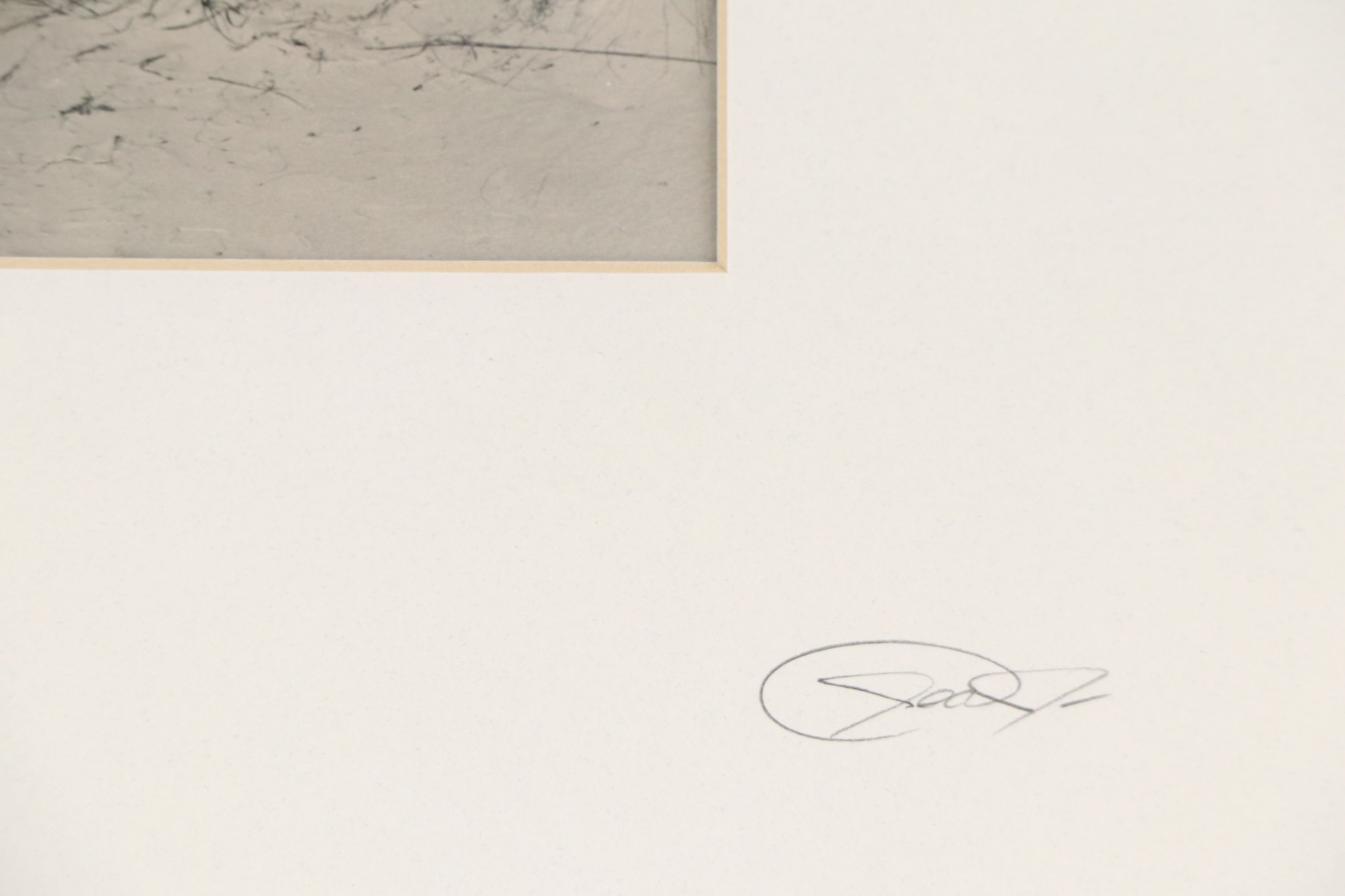 Silver Gelatin Photograph of Beach Landscape