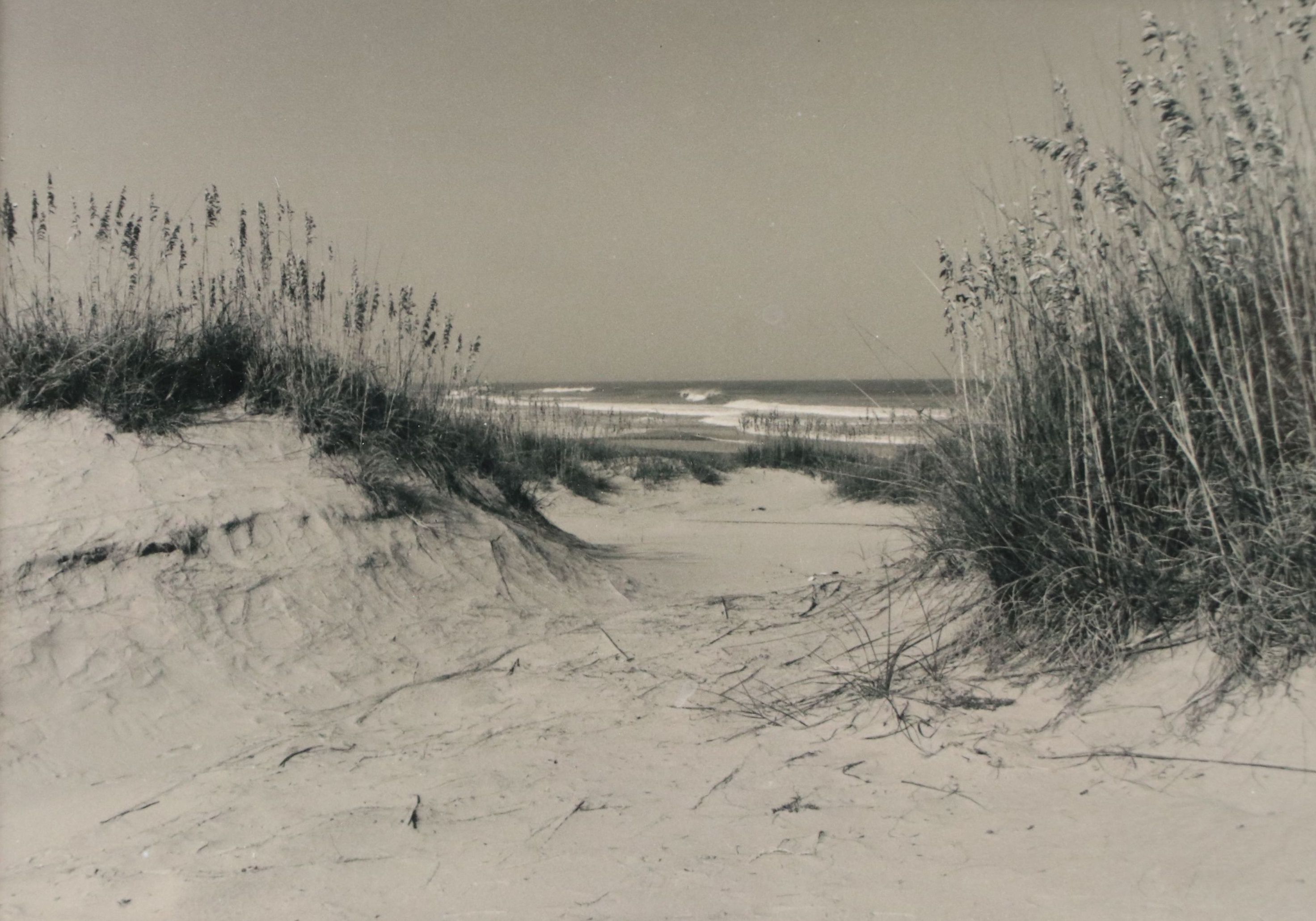 Silver Gelatin Photograph of Beach Landscape