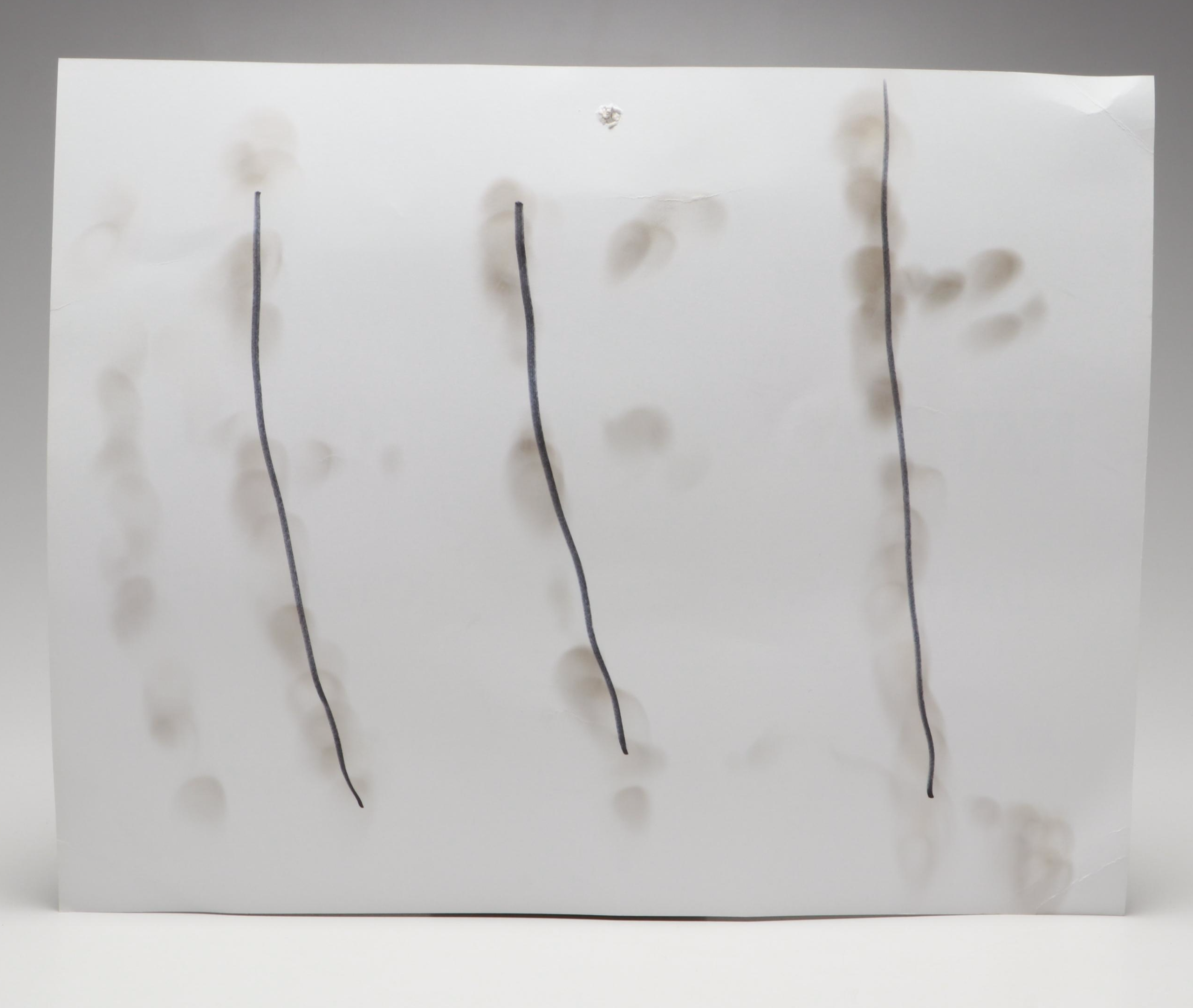 Prohibition Style Whisky Prescription Form with Reproduction Sign