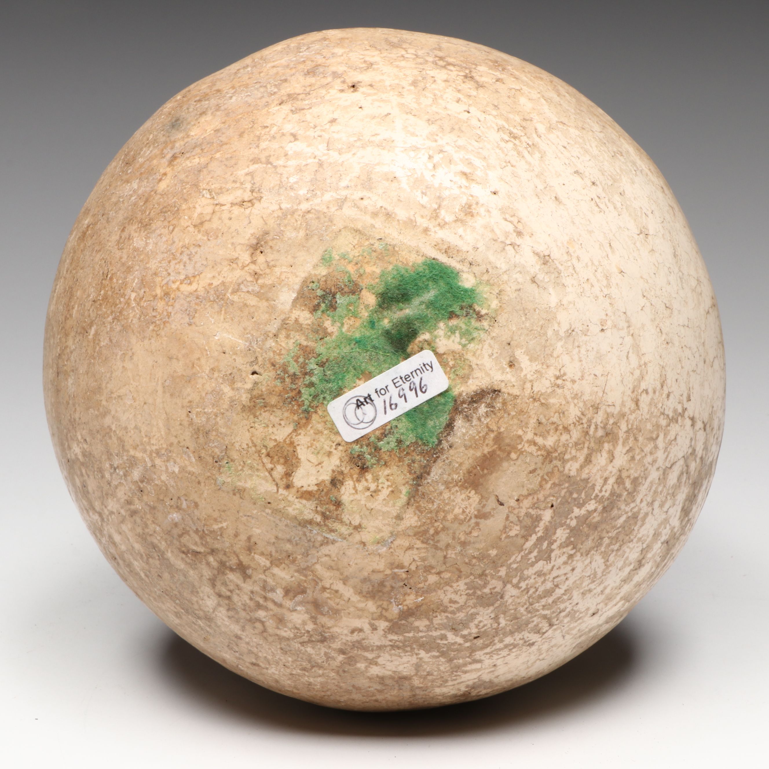 Casas Grande Polychrome Pottery Olla, Circa 1250 CE