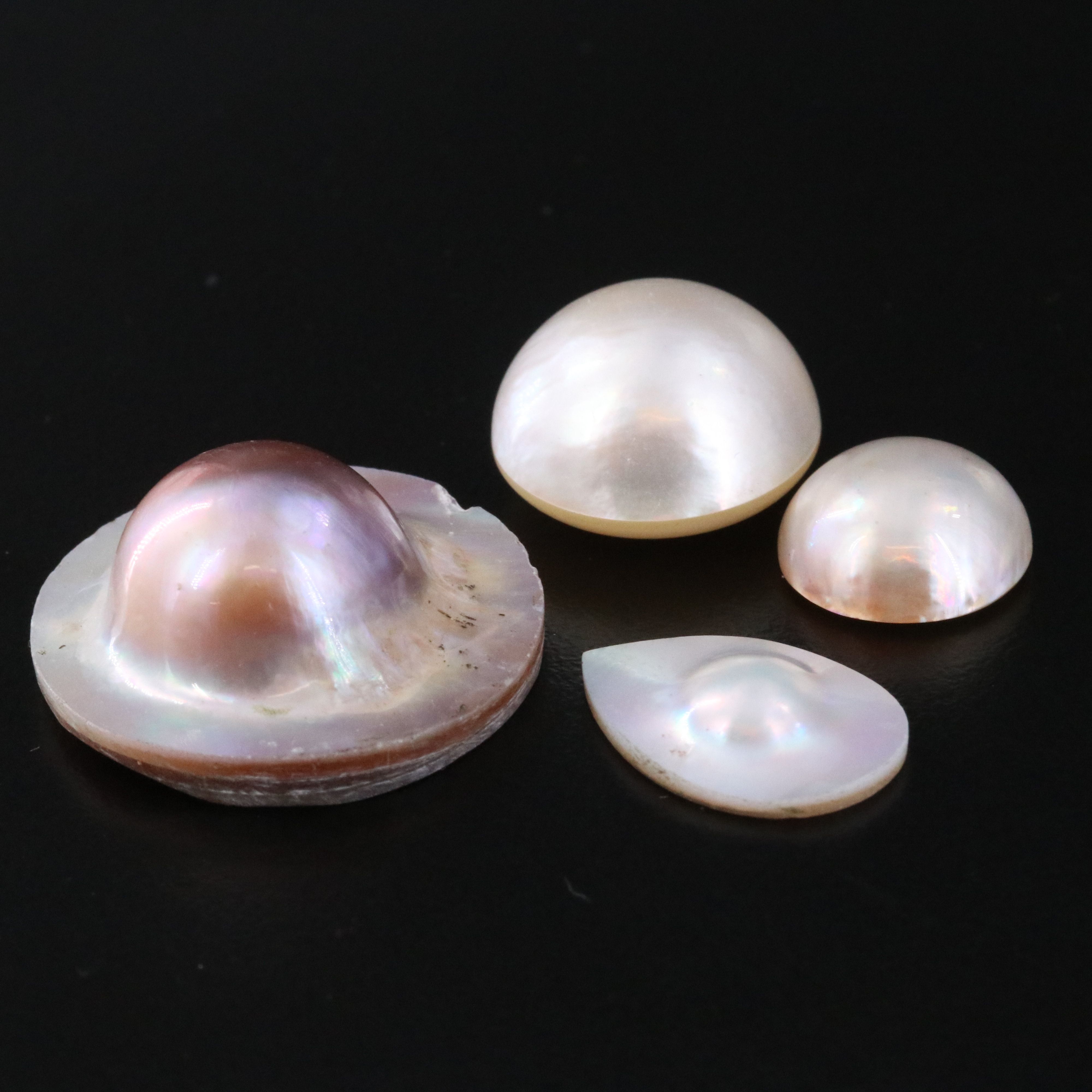 Loose Pearl and Shell Lot