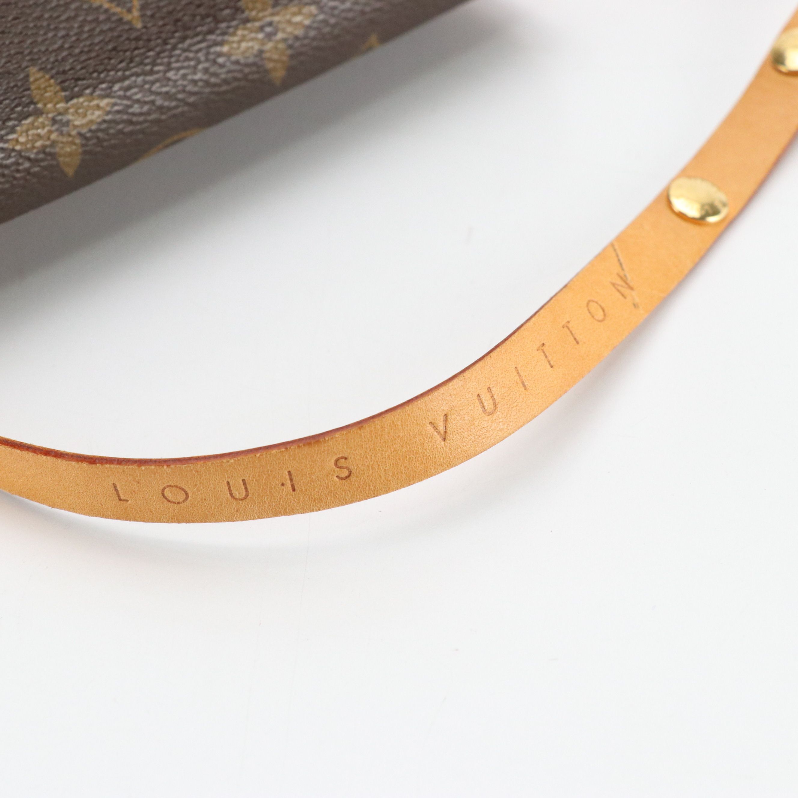 Louis Vuitton Pochette Florentine Waist Bag in Monogram Canvas and Vachetta Trim