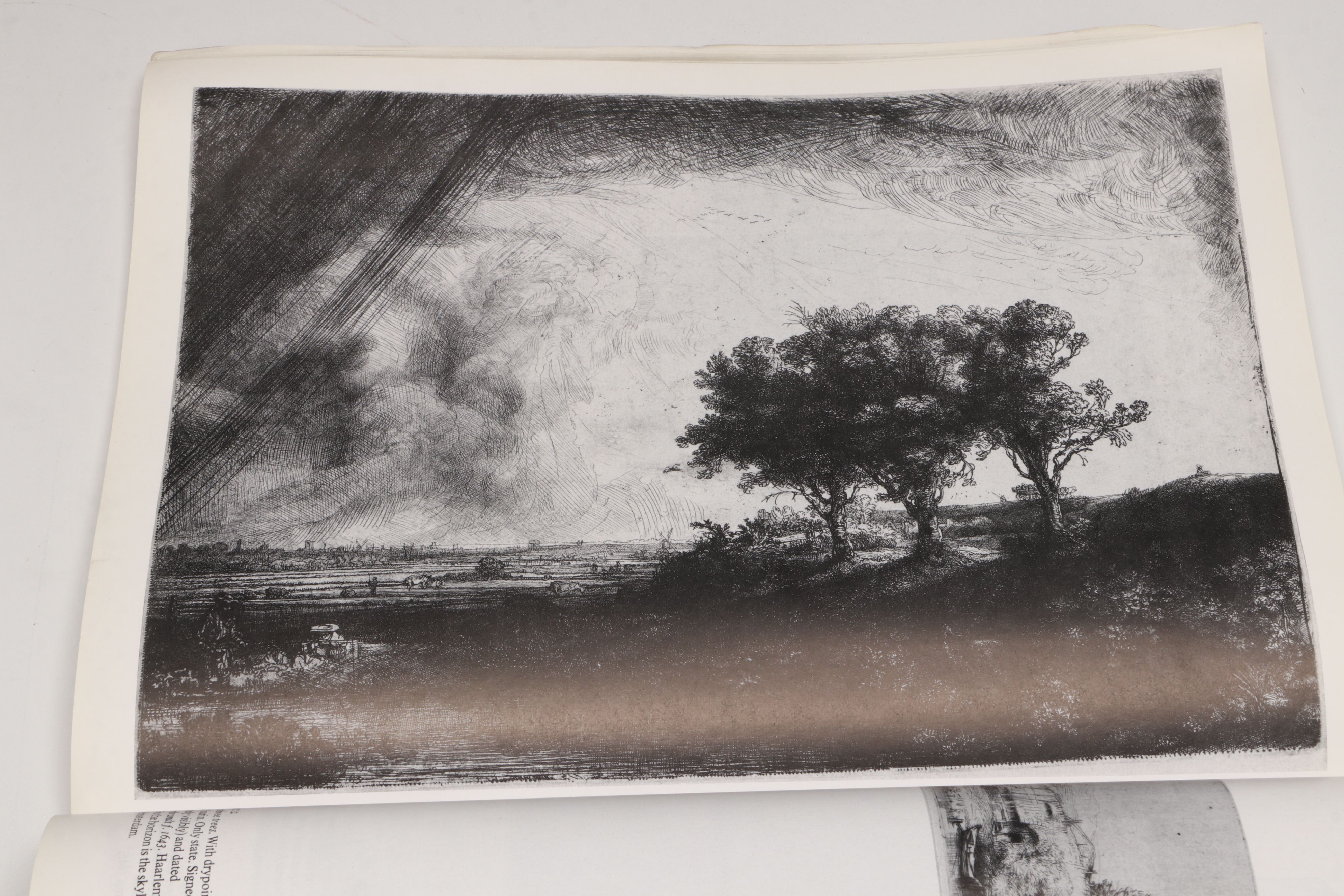 "The Complete Etchings of Rembrandt" with Art Auction Books and Encyclopedias