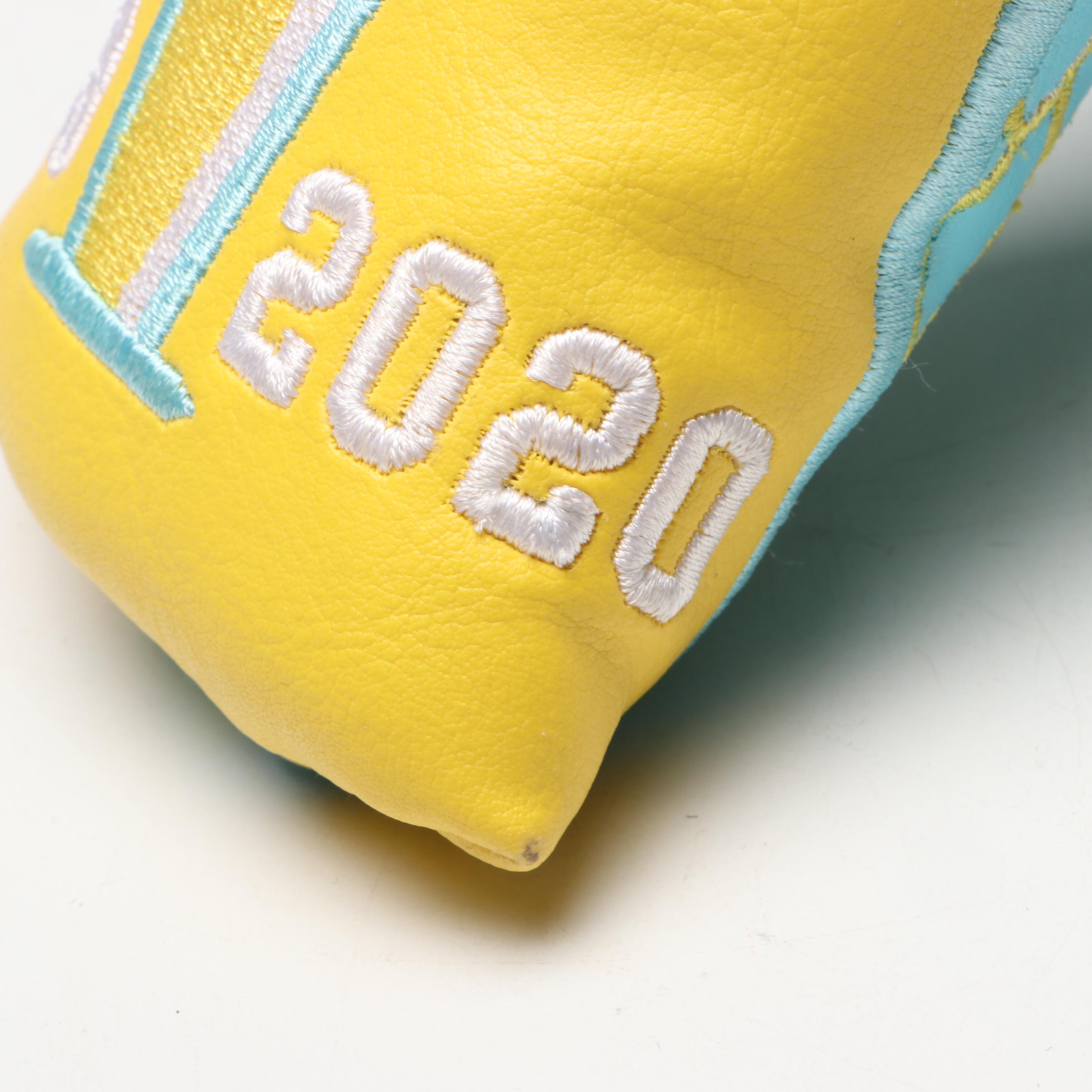 American Flatsticks Blue and Yellow Putter Head Cover