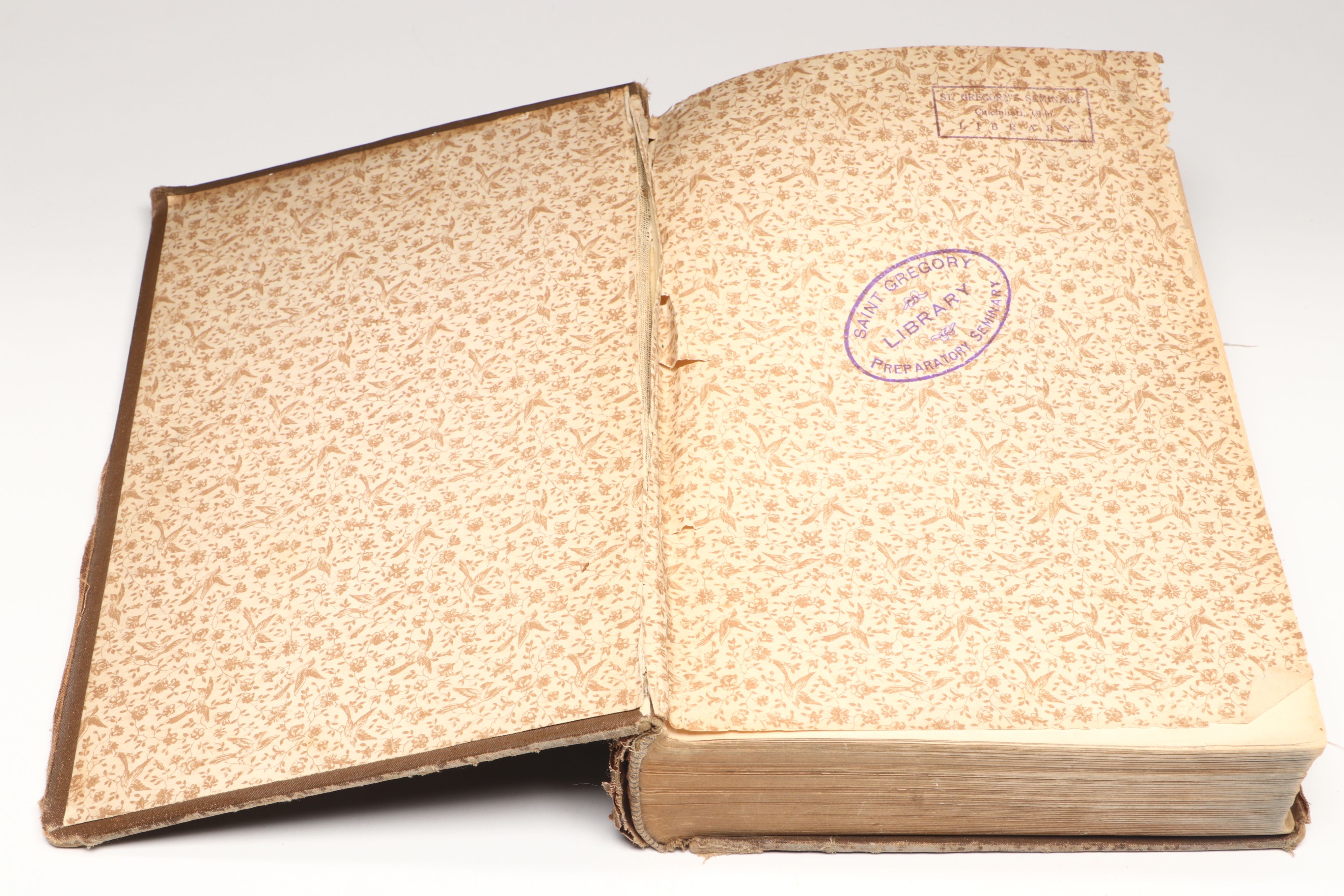 Illustrated "Anarchy and Anarchists" by Michael J. Schaack, 1889