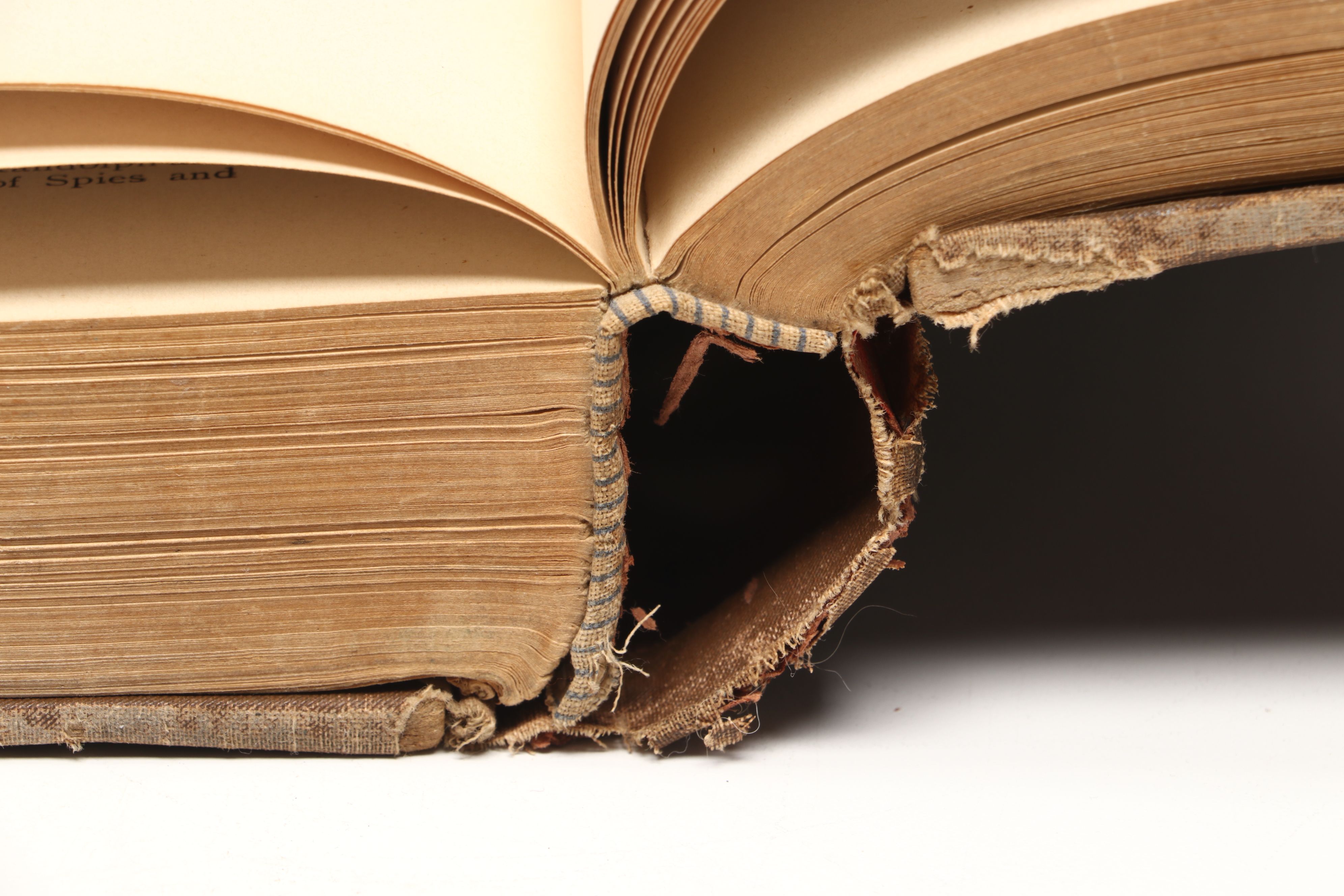 Illustrated "Anarchy and Anarchists" by Michael J. Schaack, 1889