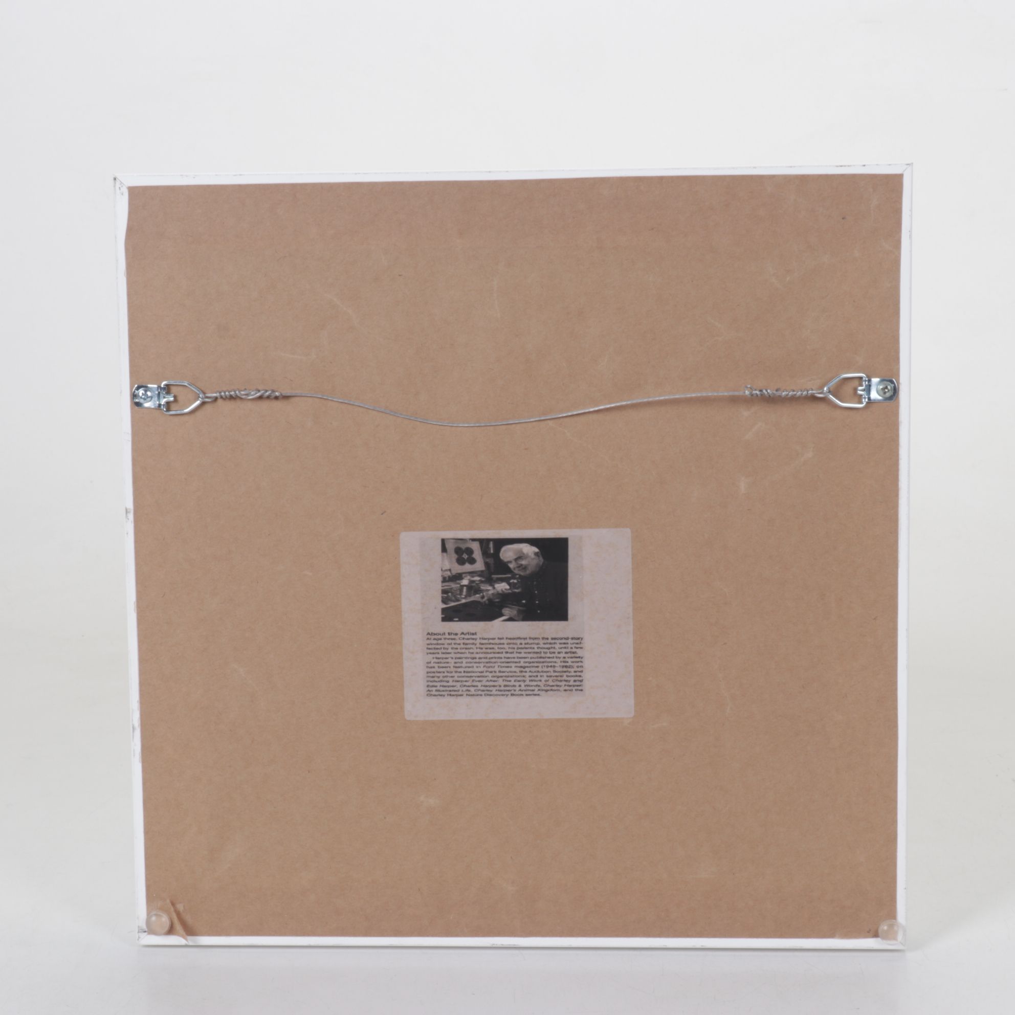 Offset Lithograph After Charley Harper "Flamingo a Go Go", 1968