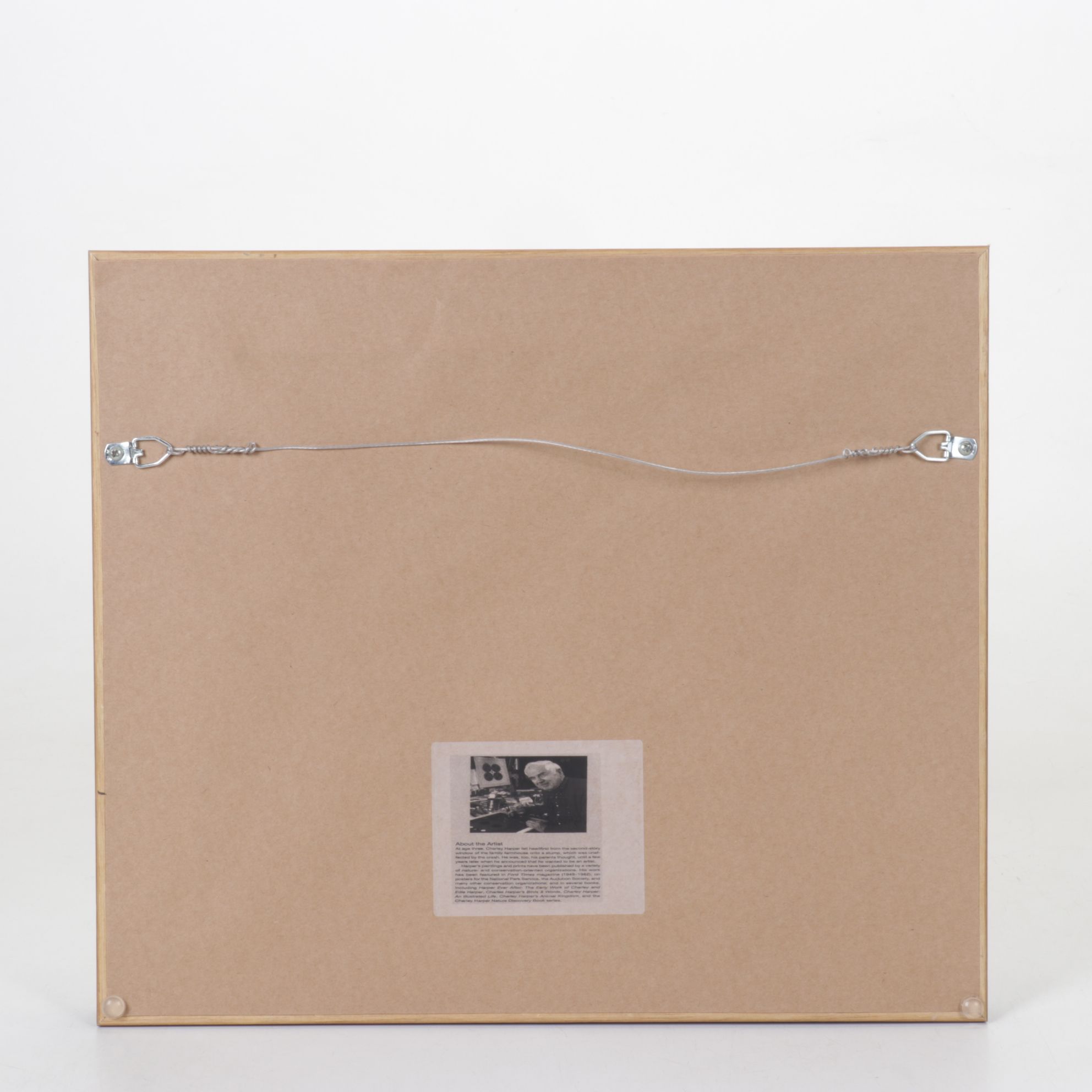 Offset Lithograph After Charley Harper "Cottontail in a Cotton Field", 1986