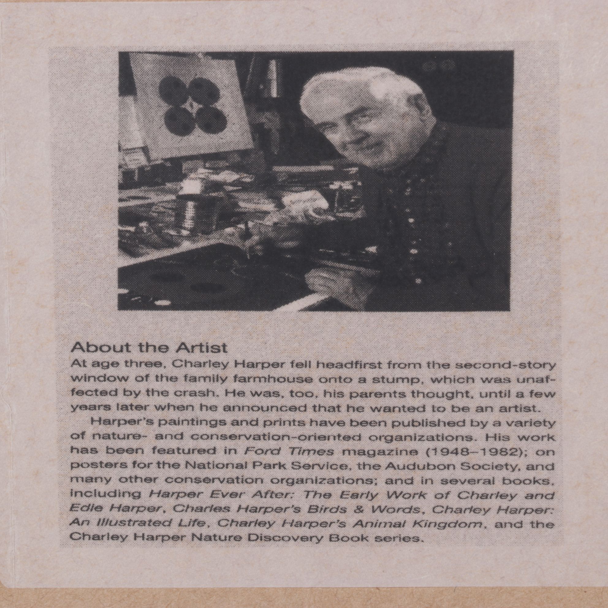 Offset Lithograph After Charley Harper "Cottontail in a Cotton Field", 1986