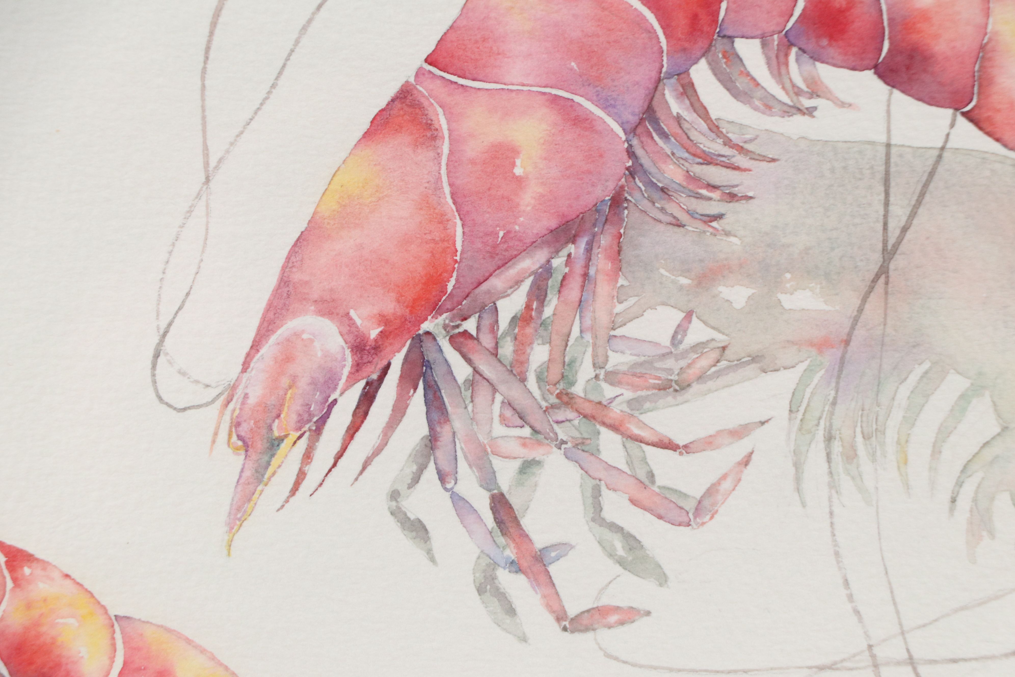 McGuffin Watercolor Painting of Shrimp, 1990