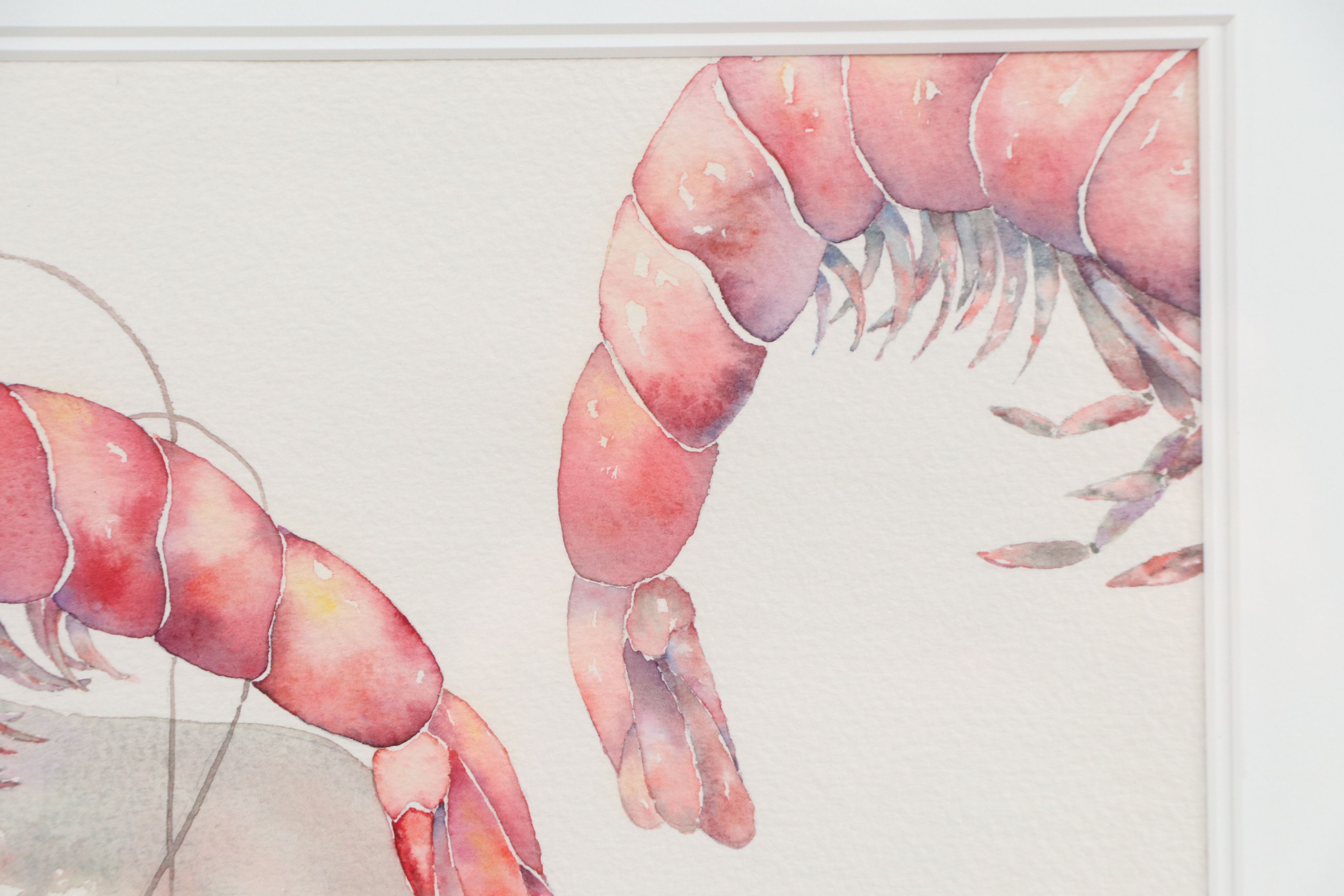 McGuffin Watercolor Painting of Shrimp, 1990
