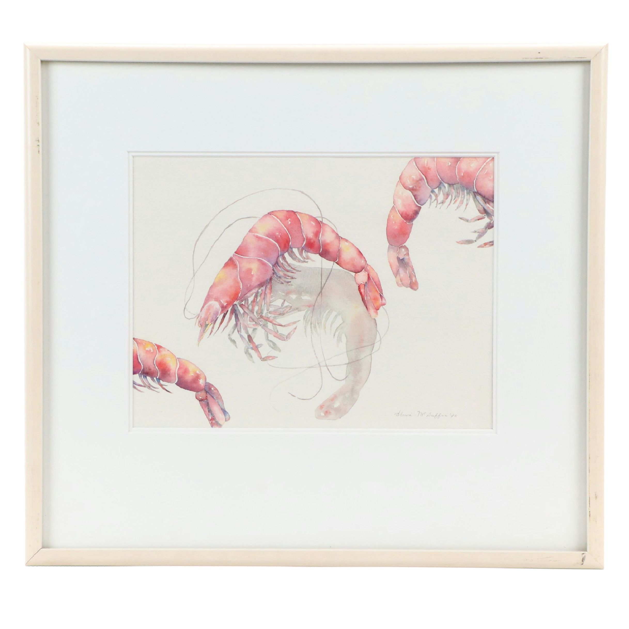 McGuffin Watercolor Painting of Shrimp, 1990