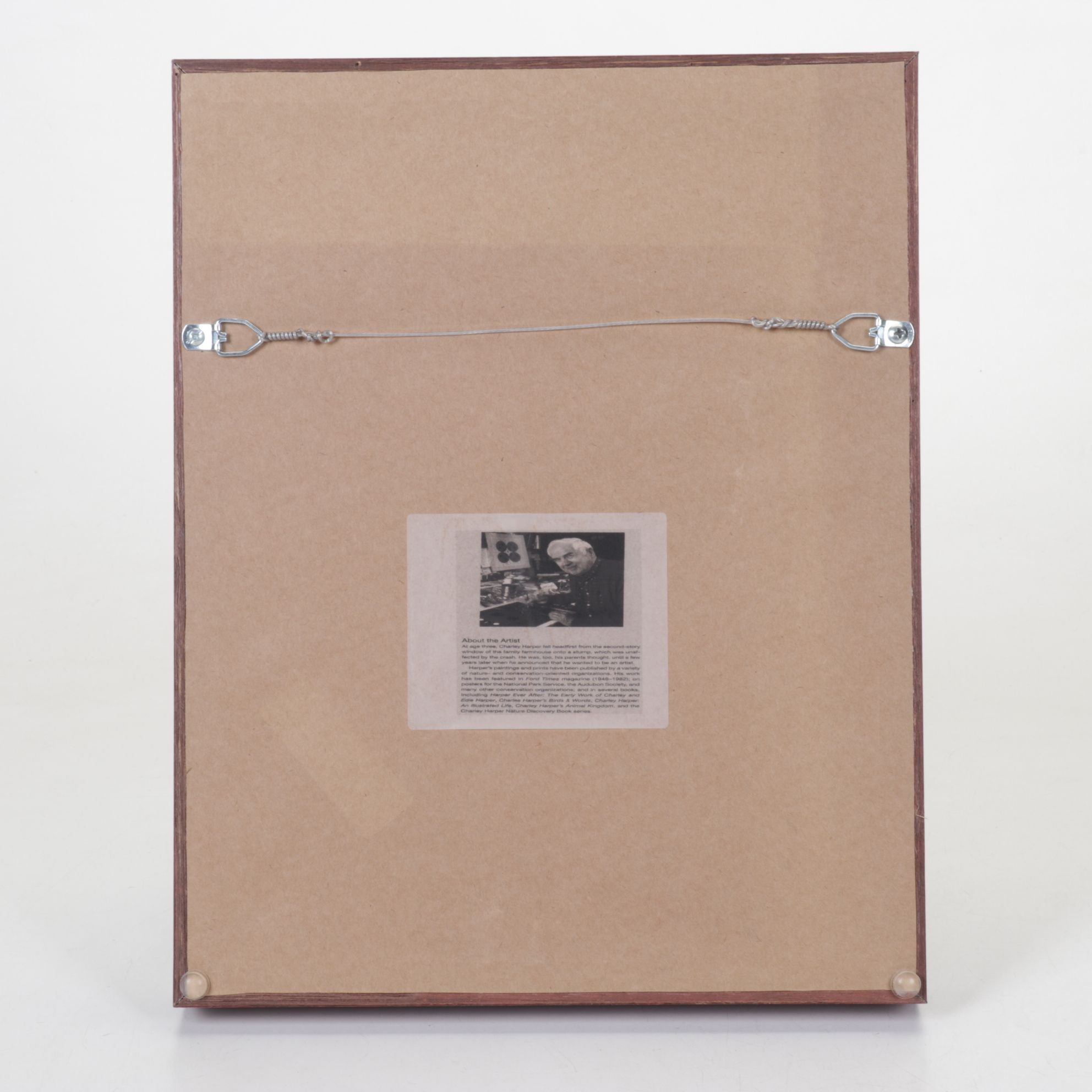 Offset Lithograph After Charley Harper "Dolfun", 1977