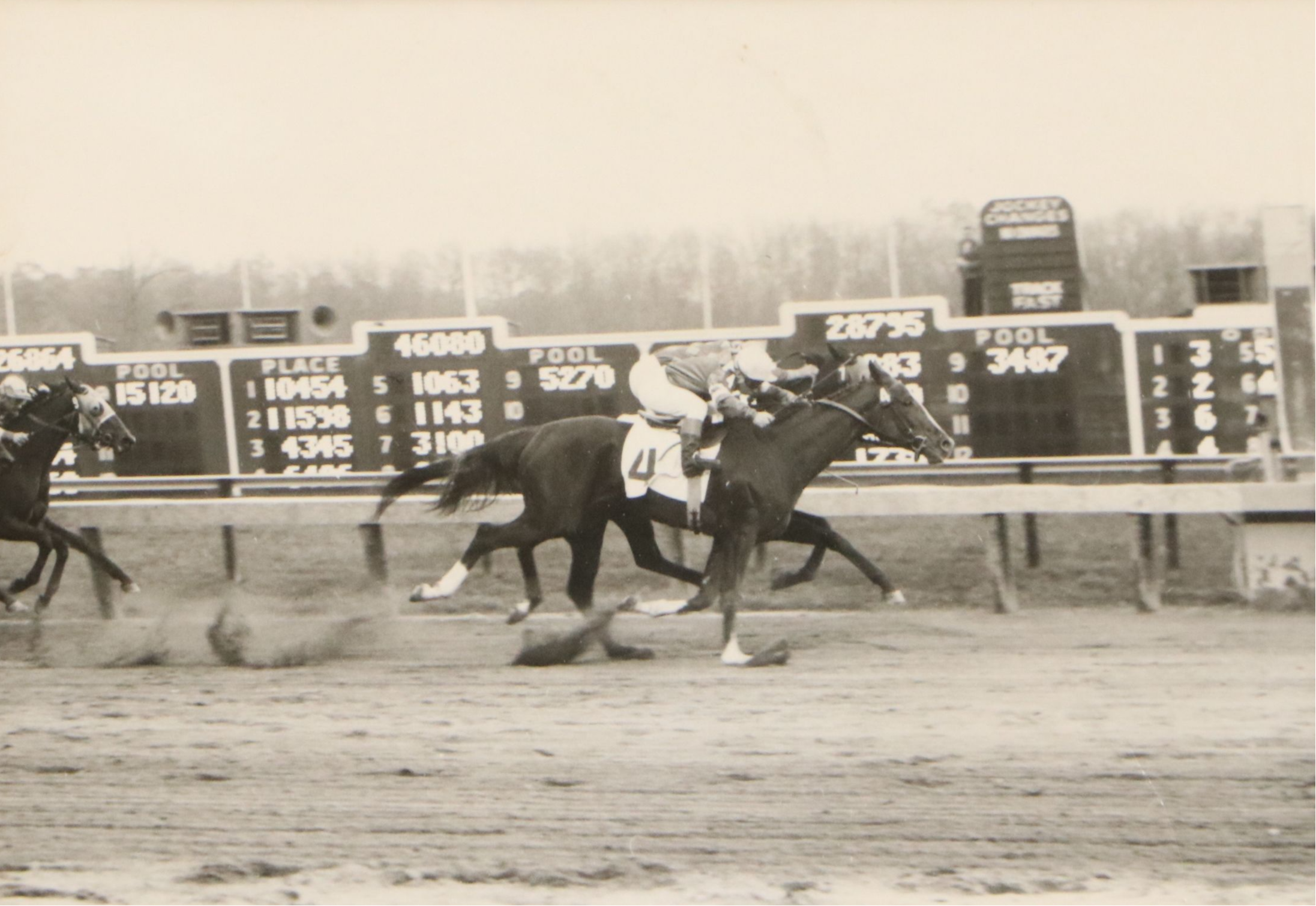 Laurel Park Selima Stakes Winner Lebkuchen Photo Finish Collage, 1956