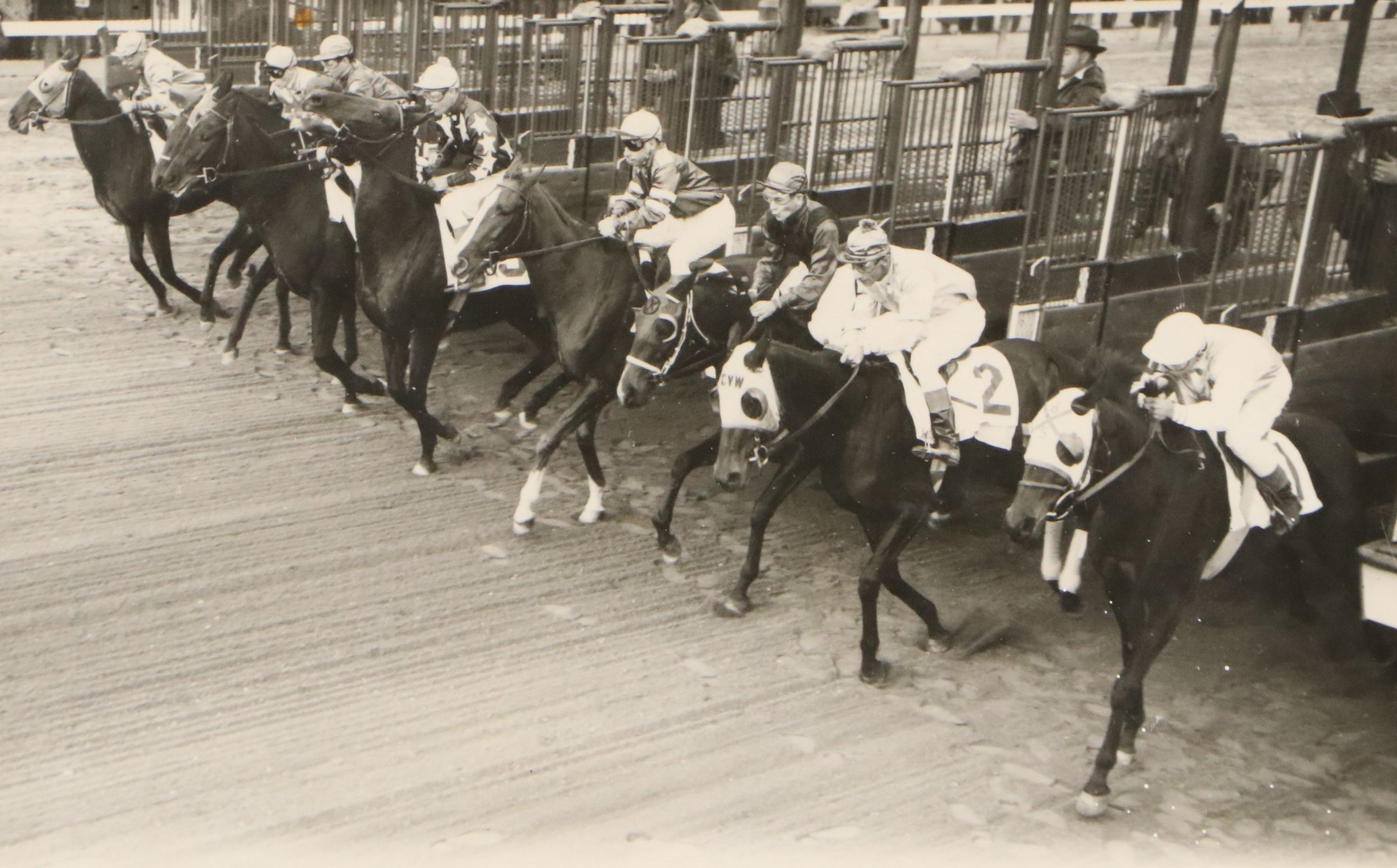 Laurel Park Selima Stakes Winner Lebkuchen Photo Finish Collage, 1956