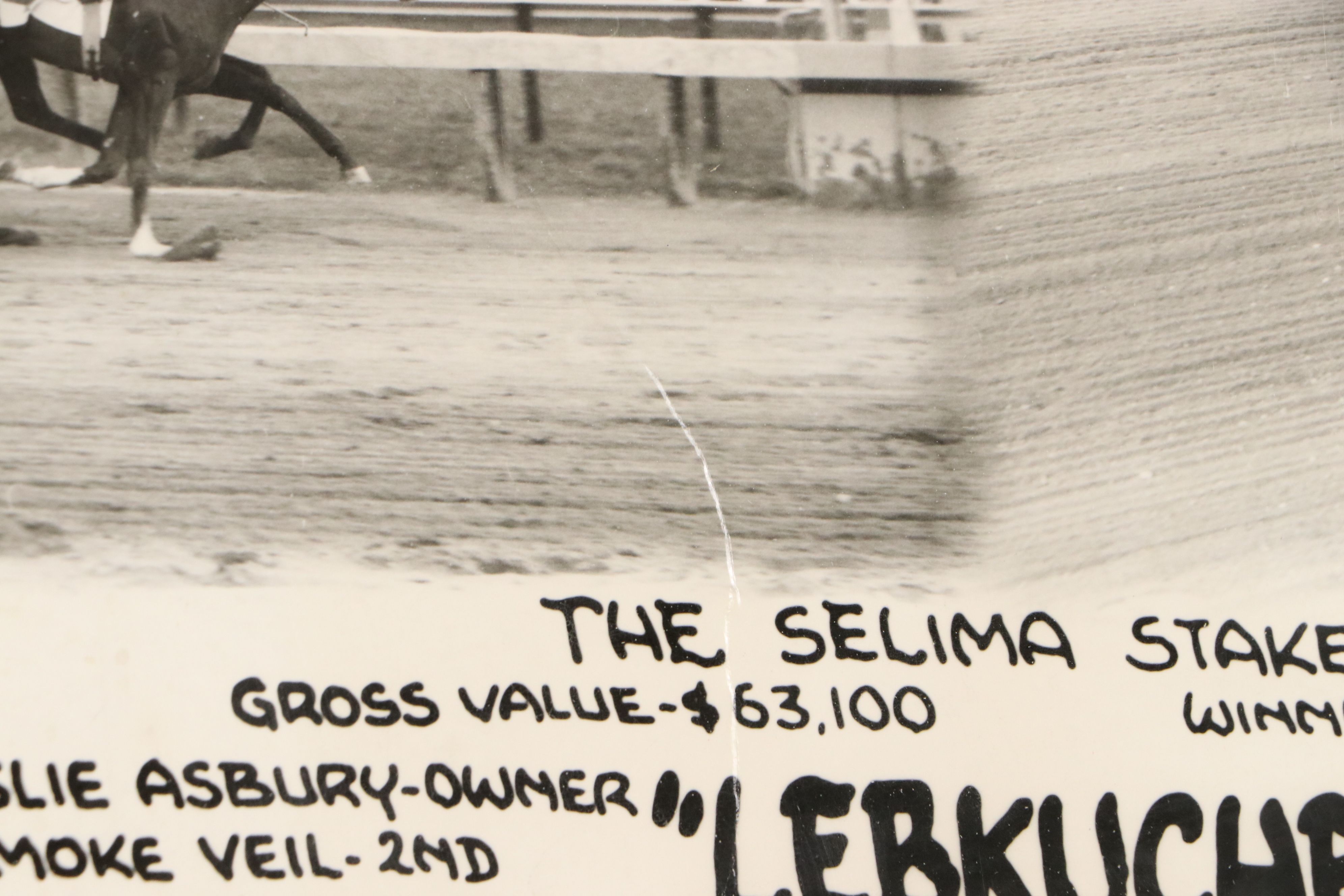 Laurel Park Selima Stakes Winner Lebkuchen Photo Finish Collage, 1956