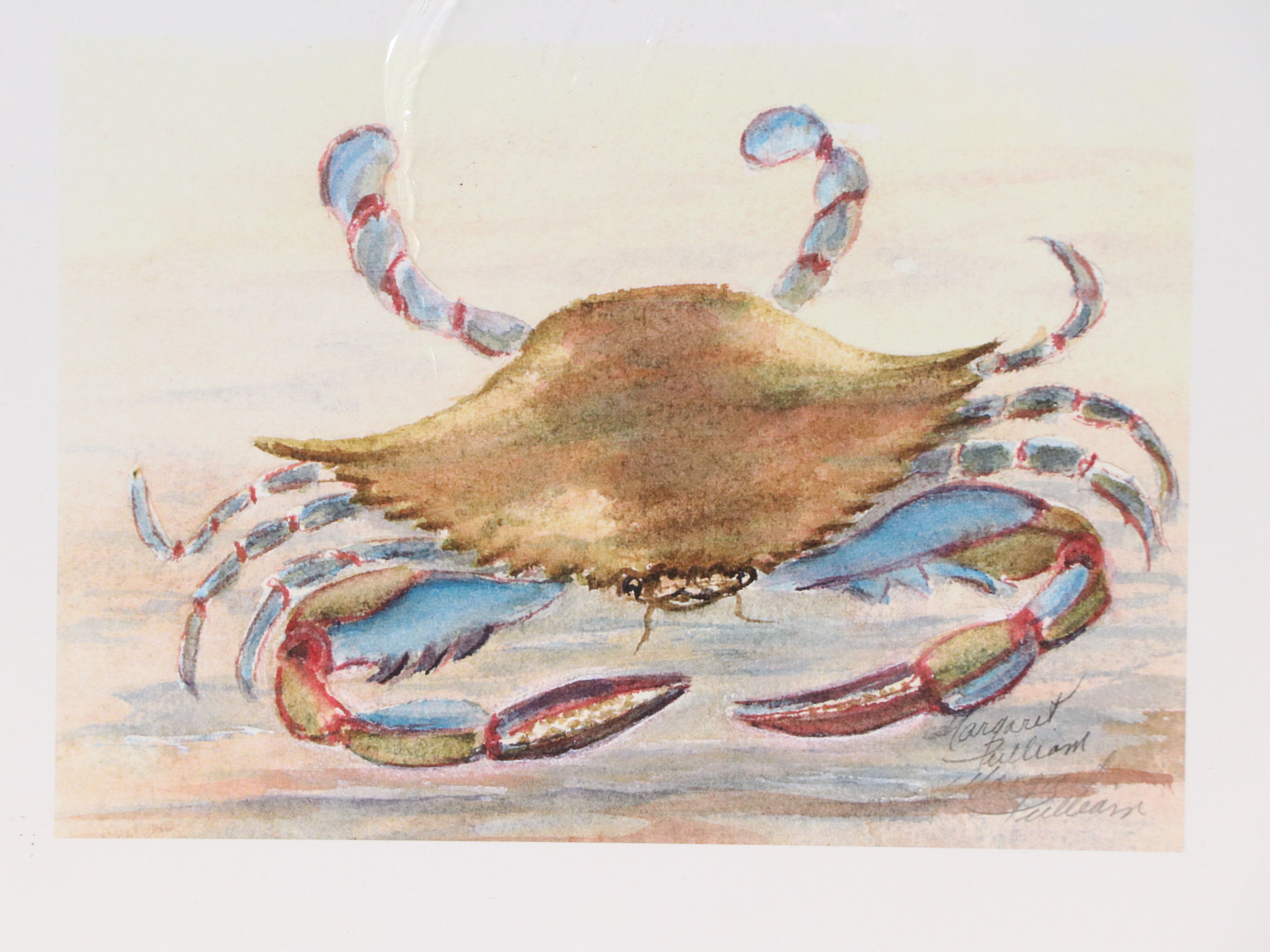 After Margaret Pulliam Digital Print of Blue Crab, 21st Century