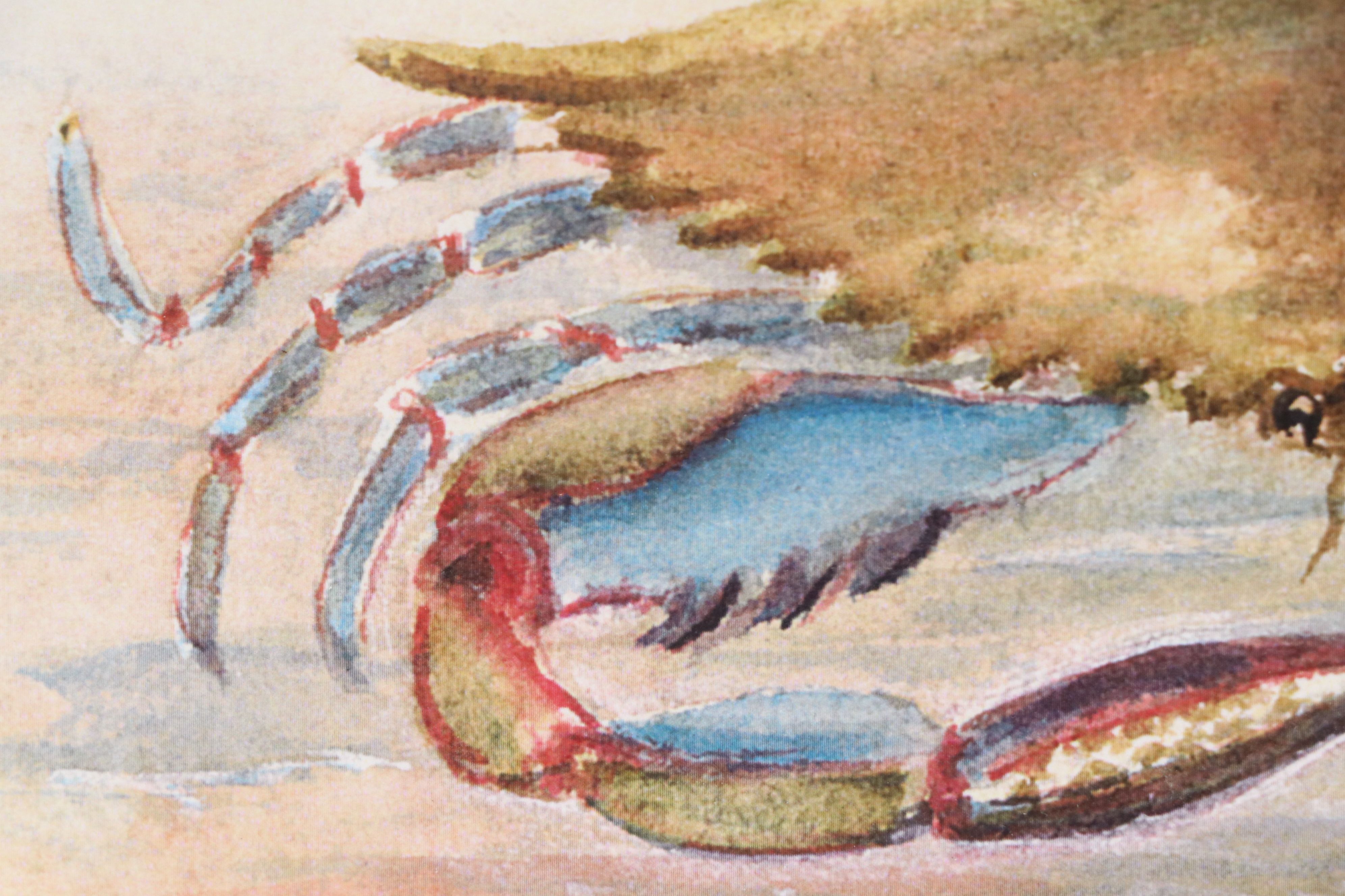 After Margaret Pulliam Digital Print of Blue Crab, 21st Century