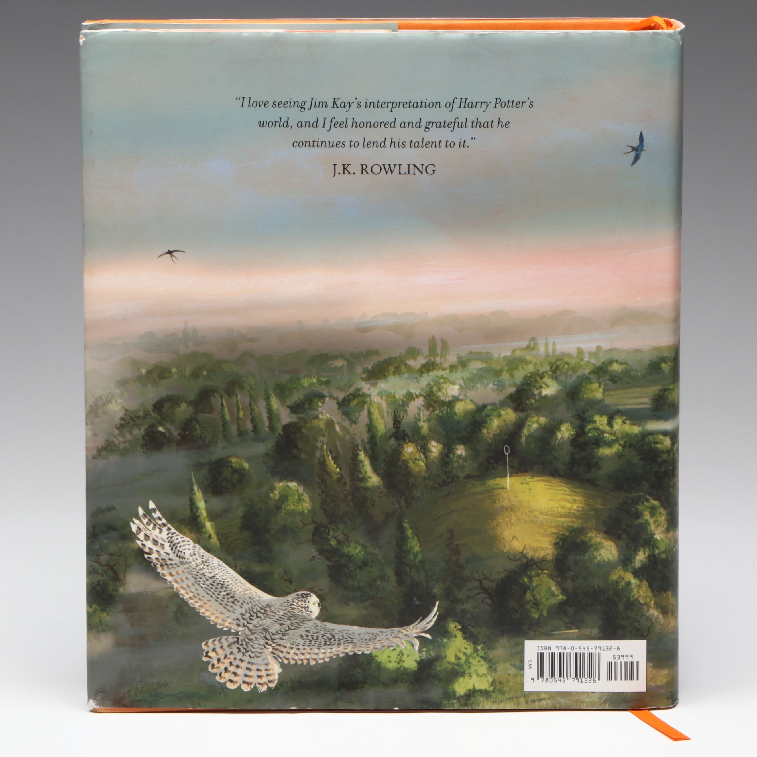 Jim Kay Illustrated "Harry Potter and the Chamber of Secrets" by J. K. Rowling