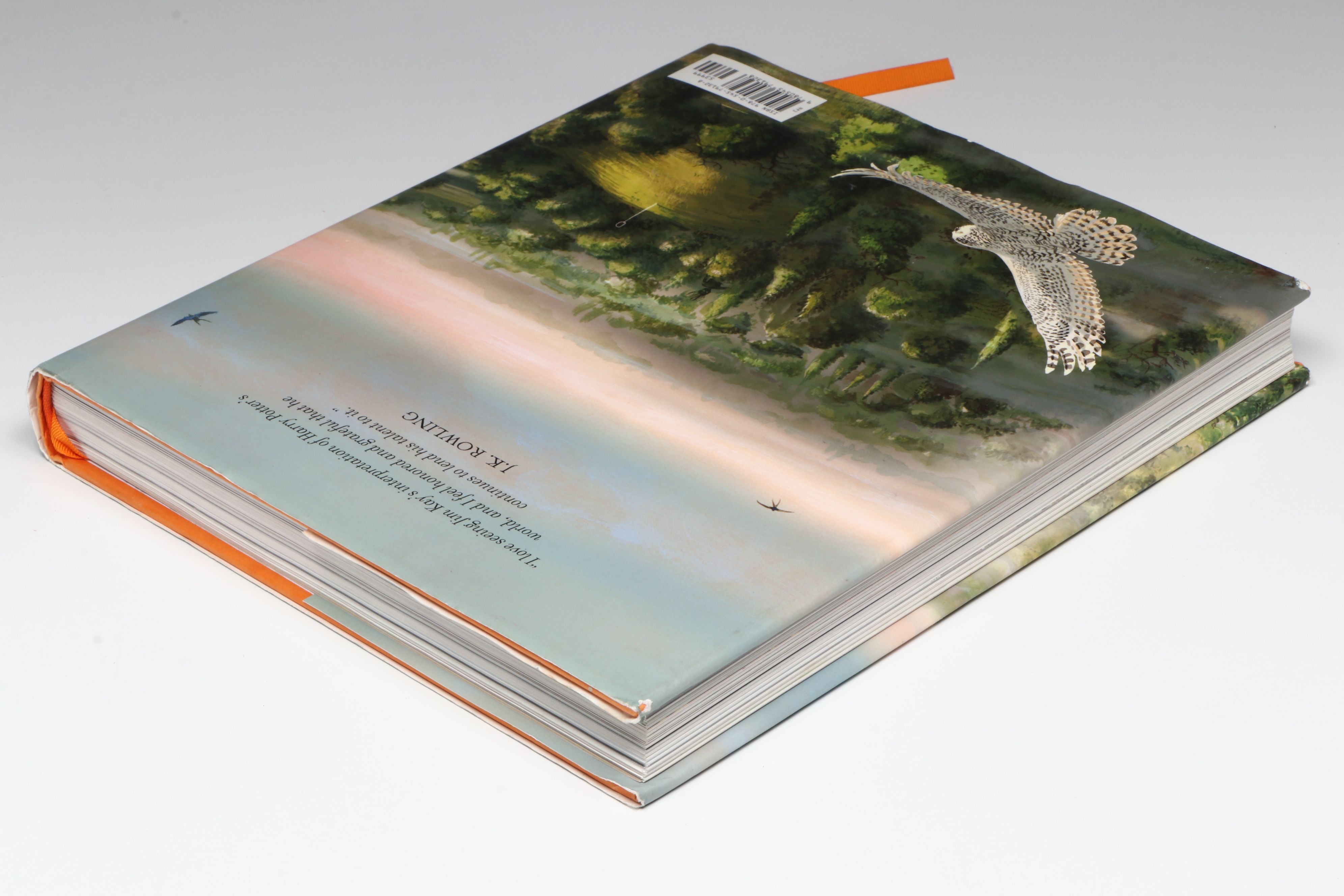 Jim Kay Illustrated "Harry Potter and the Chamber of Secrets" by J. K. Rowling