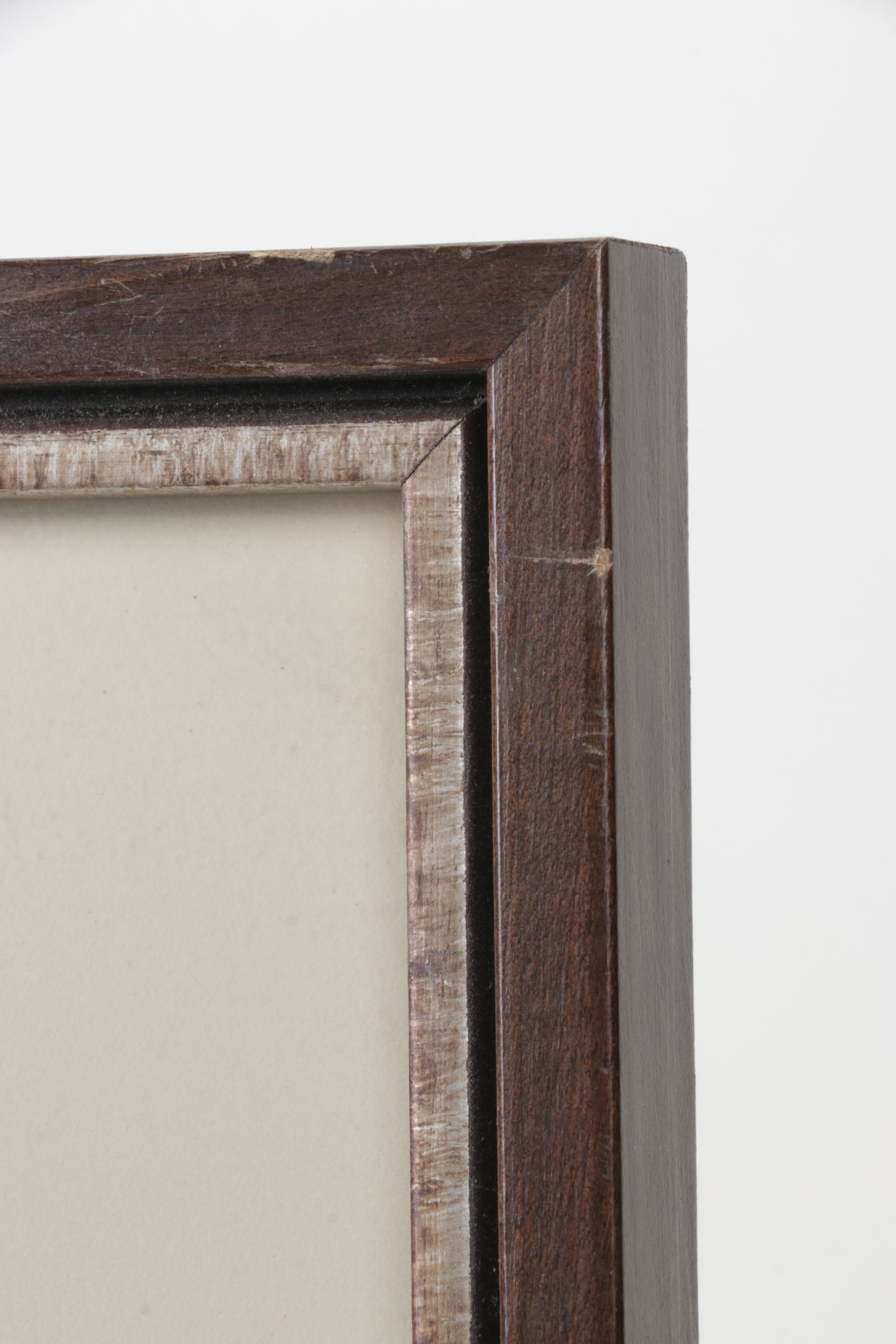 Ornithological Offset Lithograph After J.J. Audubon "Prairie Titlark"