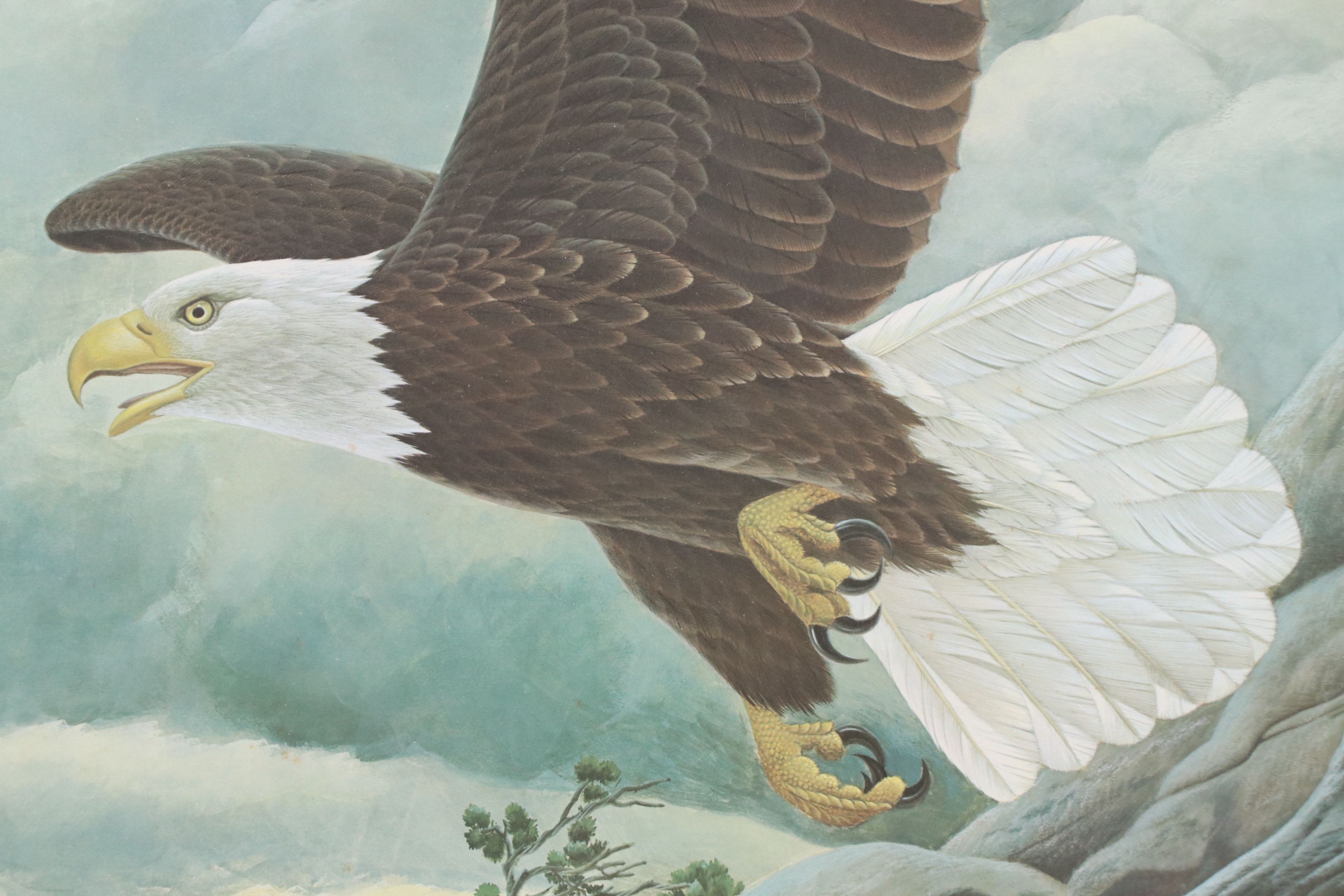 John A. Ruthven Offset Lithograph "American Bald Eagle," Late 20th Century