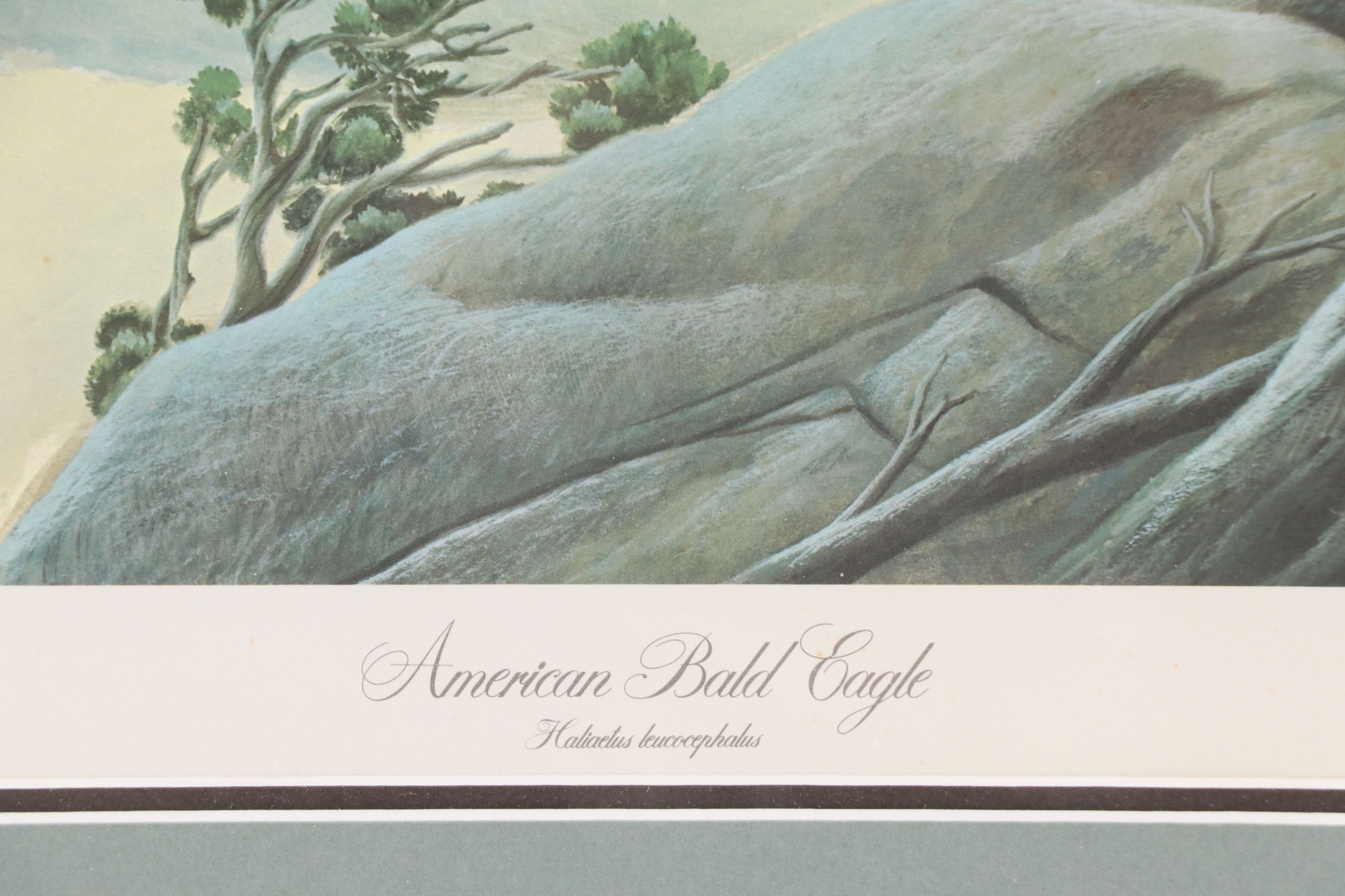 John A. Ruthven Offset Lithograph "American Bald Eagle," Late 20th Century