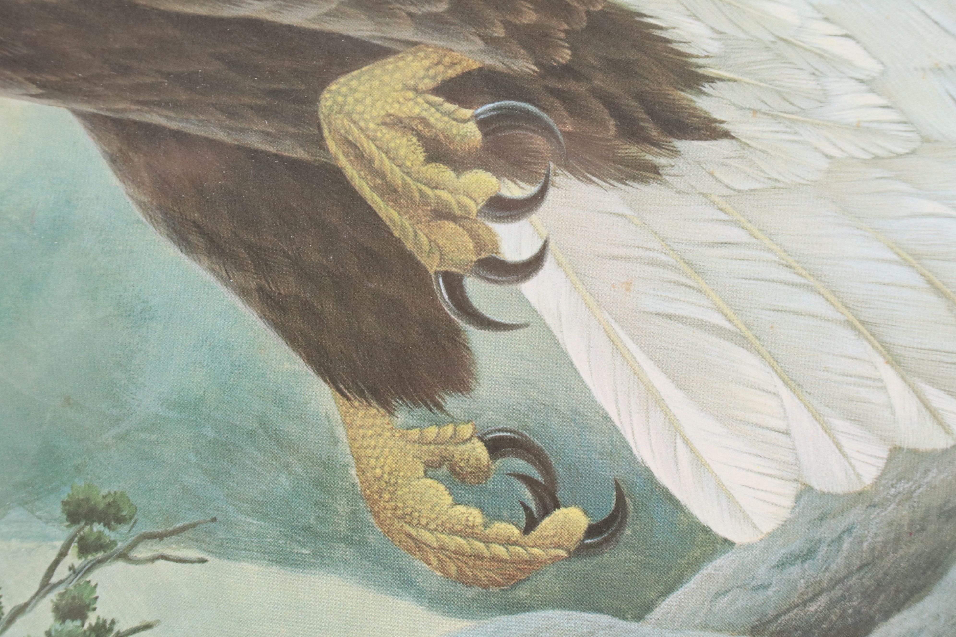 John A. Ruthven Offset Lithograph "American Bald Eagle," Late 20th Century