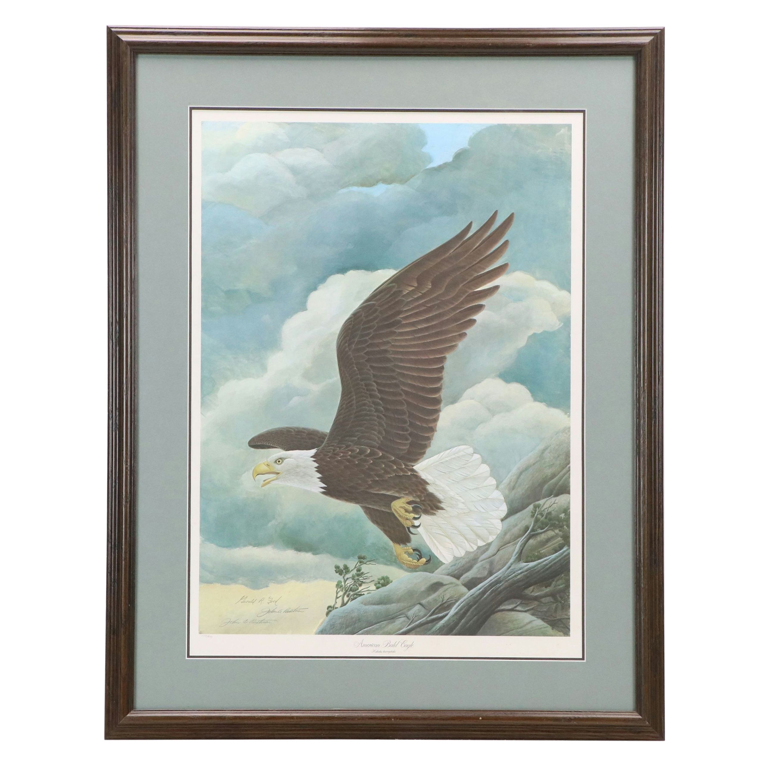 John A. Ruthven Offset Lithograph "American Bald Eagle," Late 20th Century