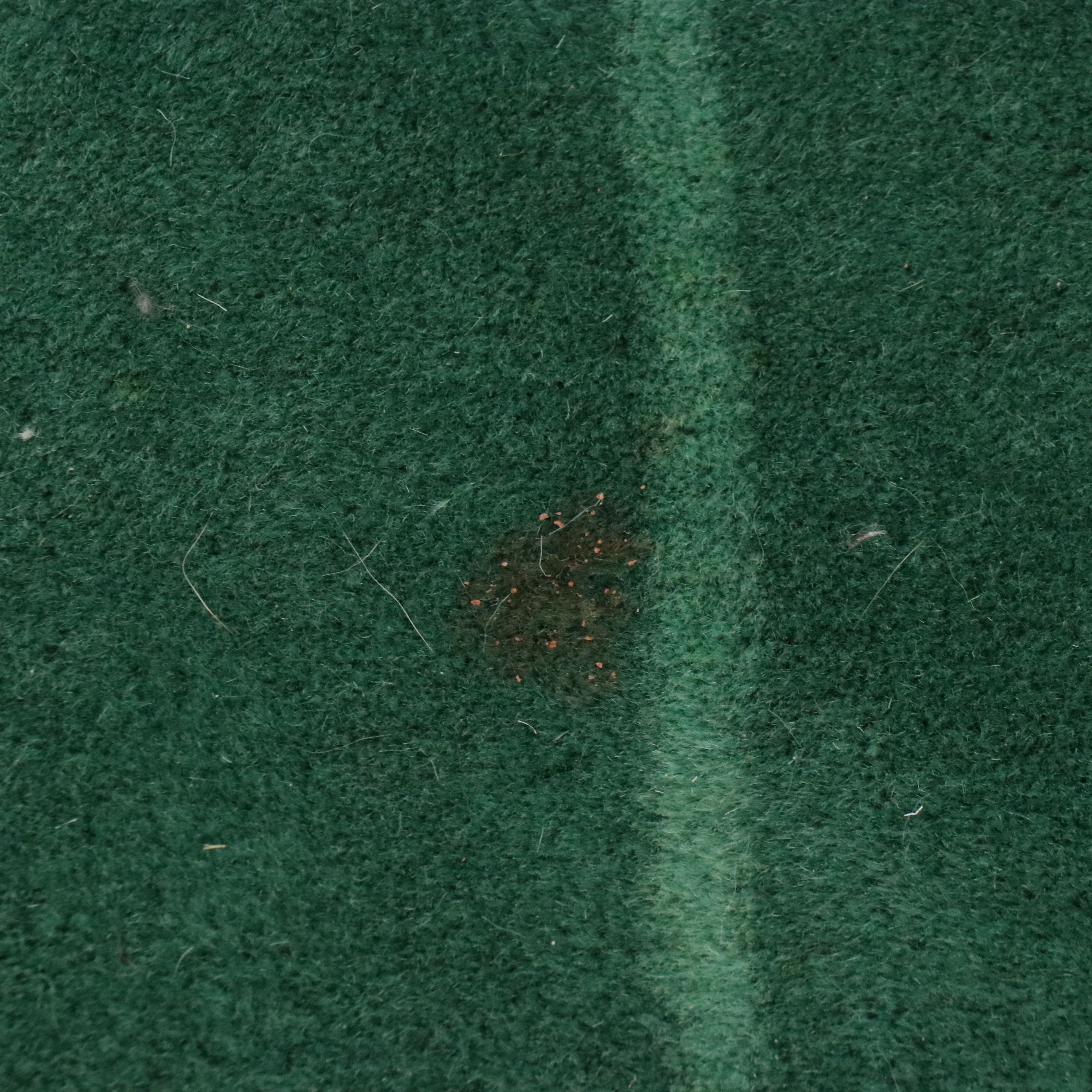 8'11 x 11'9 Hand-Knotted Chinese Art Deco Nichols Style Area Rug