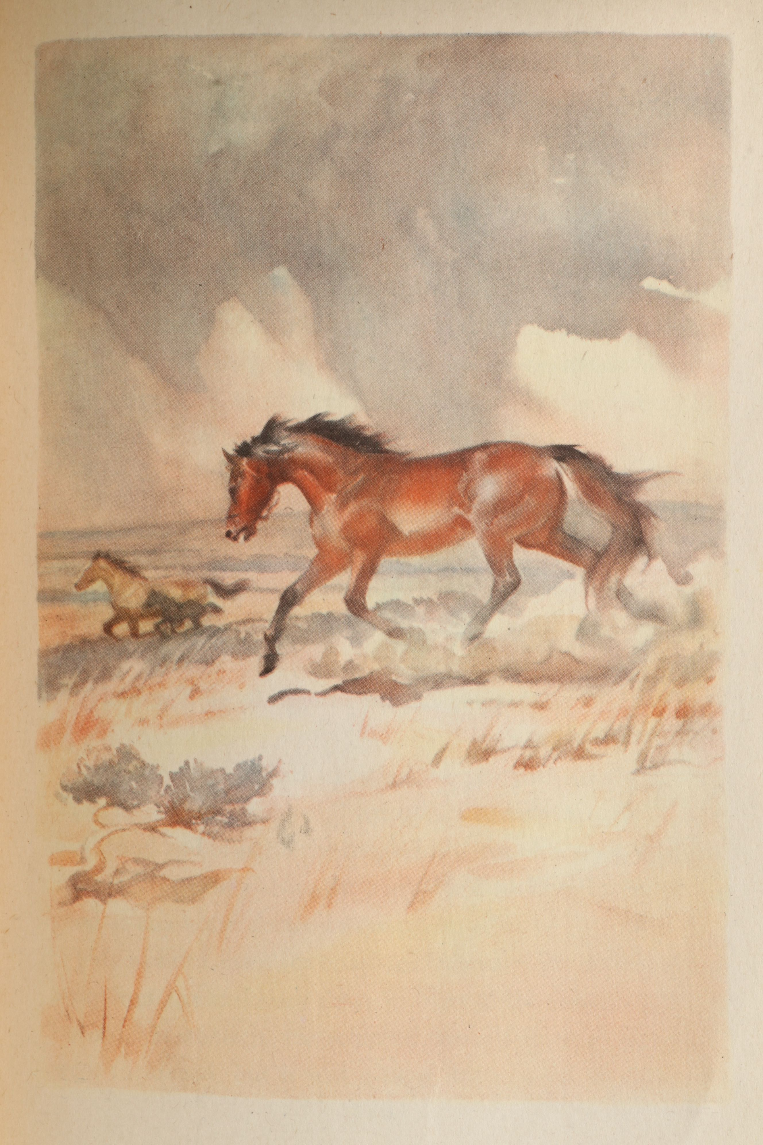 First Illustrated Edition "The Red Pony" by John Steinbeck, 1945