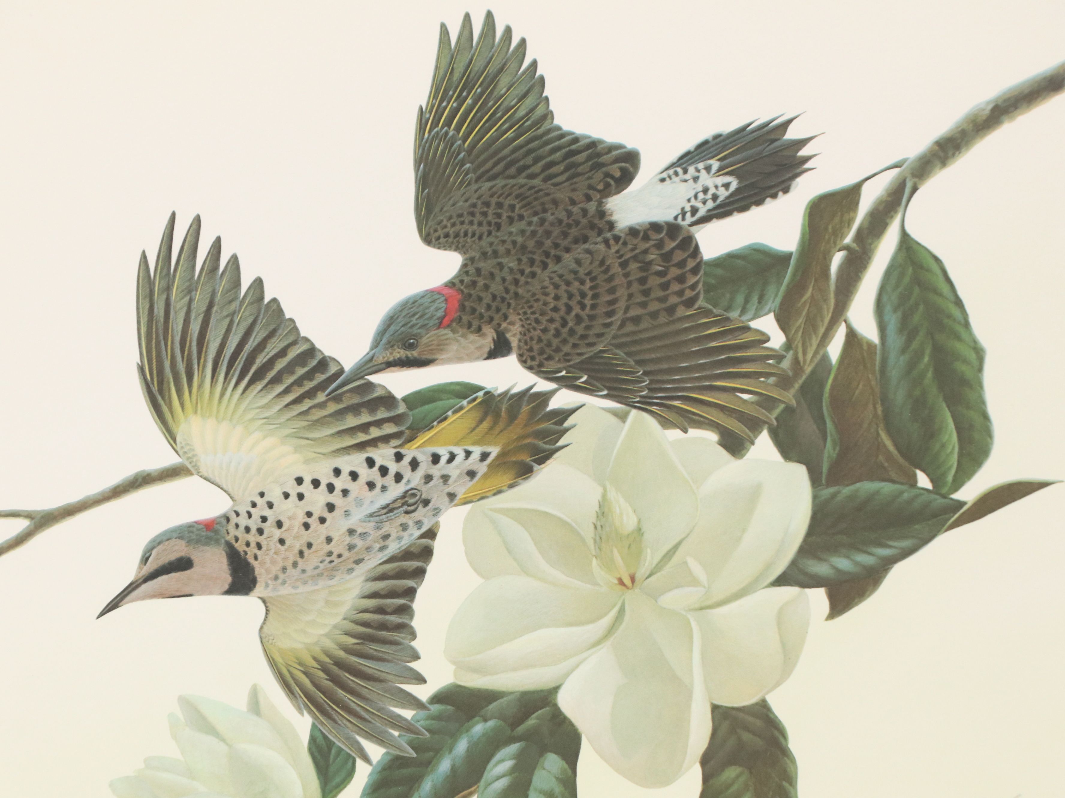 John A. Ruthven Offset Lithograph "Flickers"