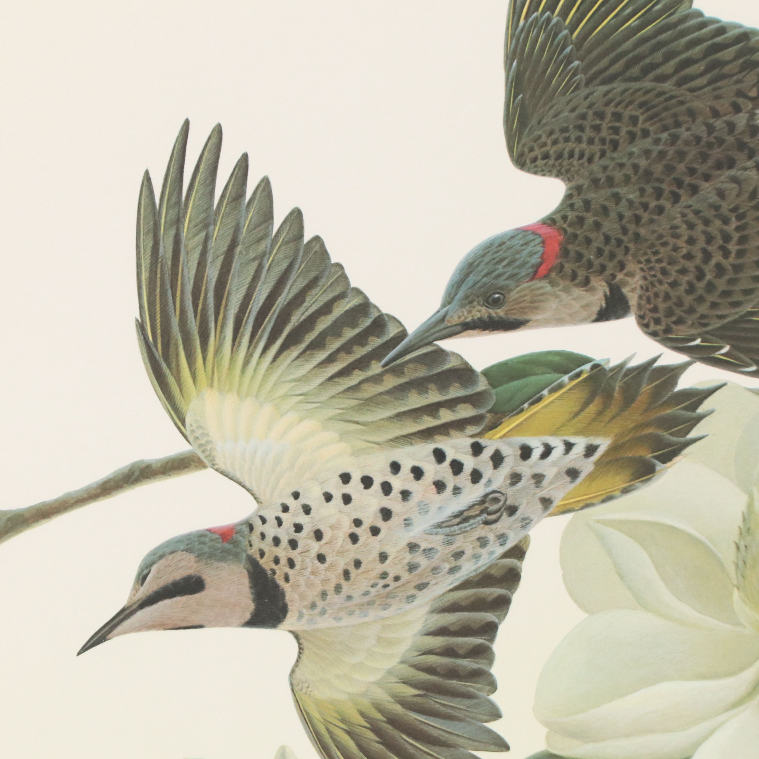 John A. Ruthven Offset Lithograph "Flickers"
