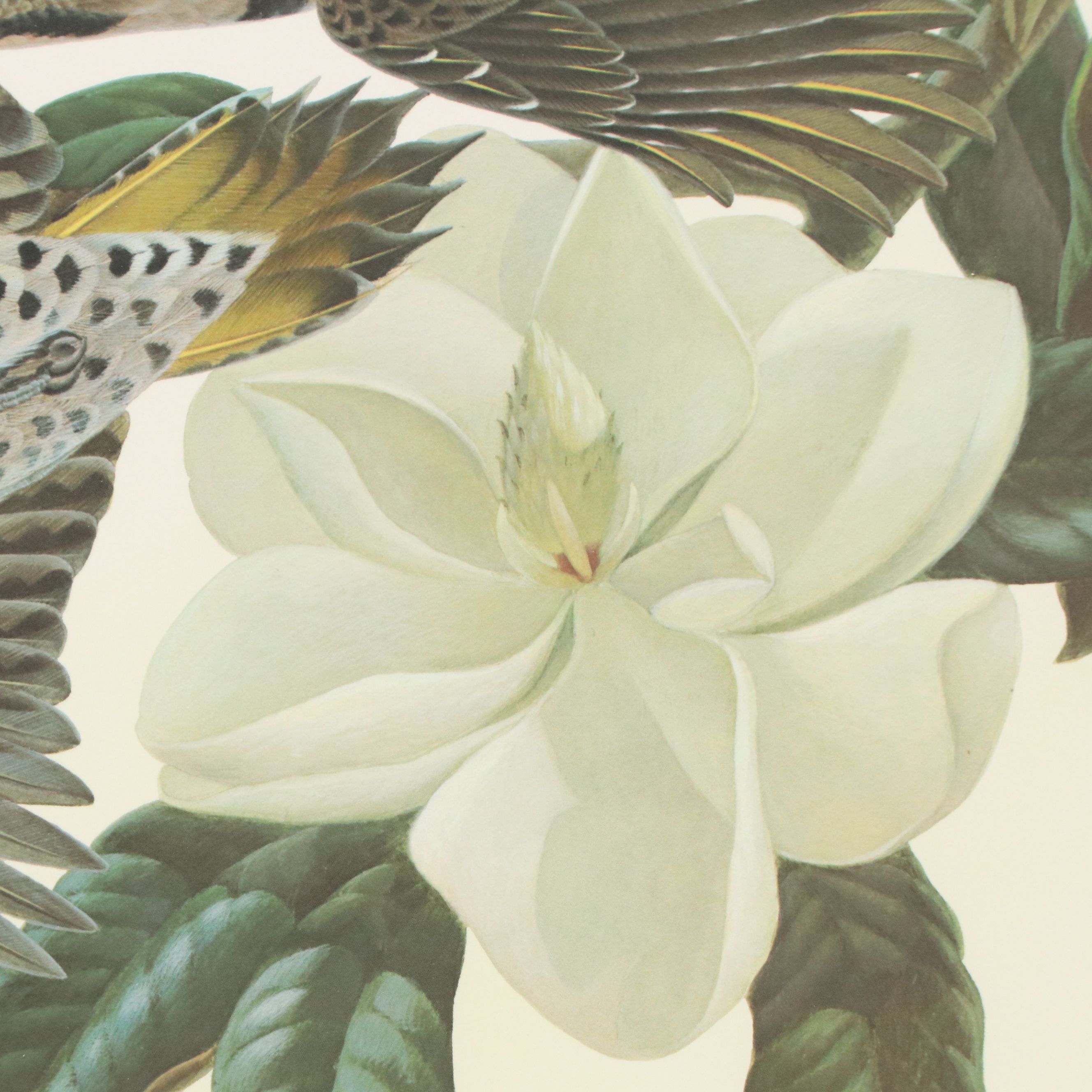 John A. Ruthven Offset Lithograph "Flickers"