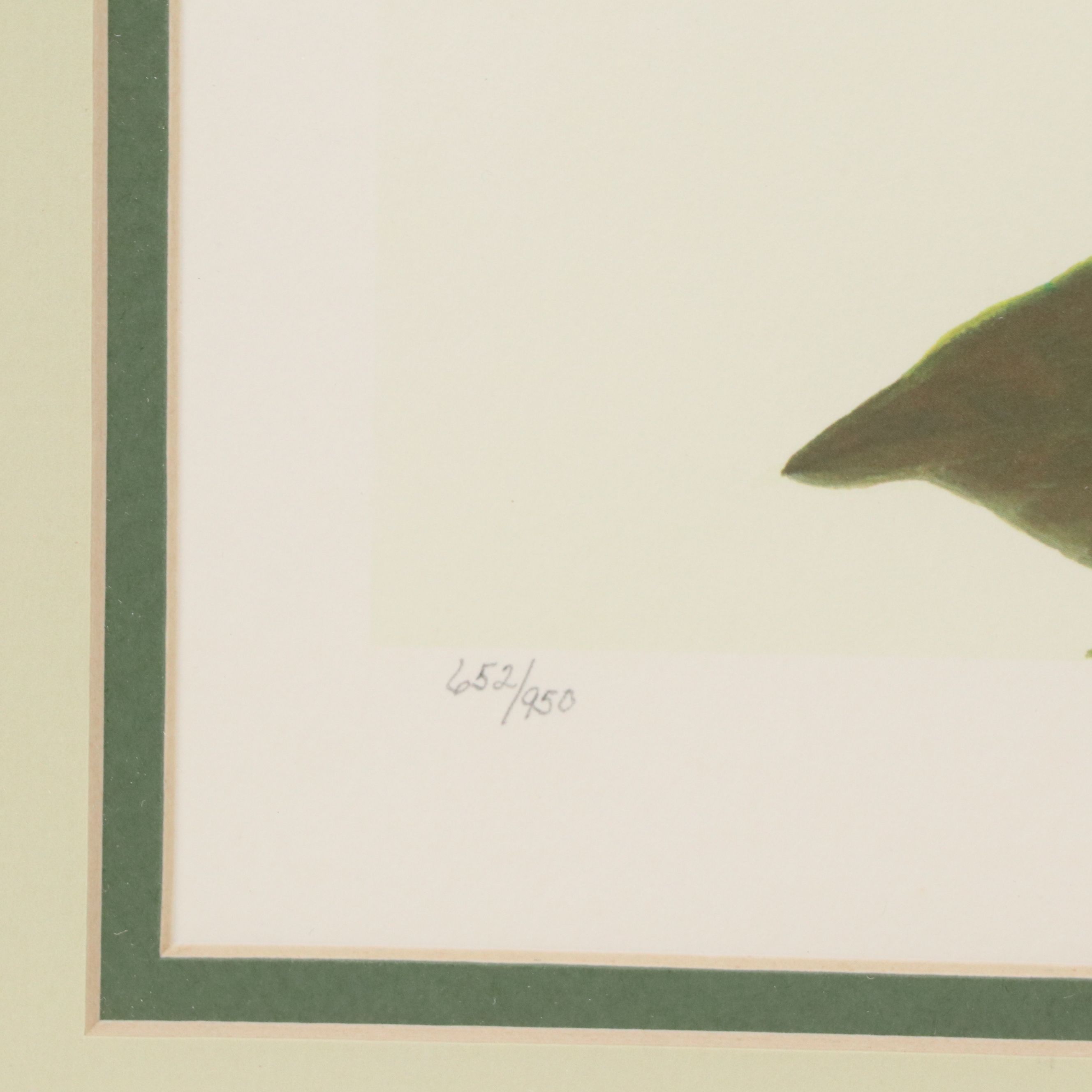 John A. Ruthven Offset Lithograph "Flickers"