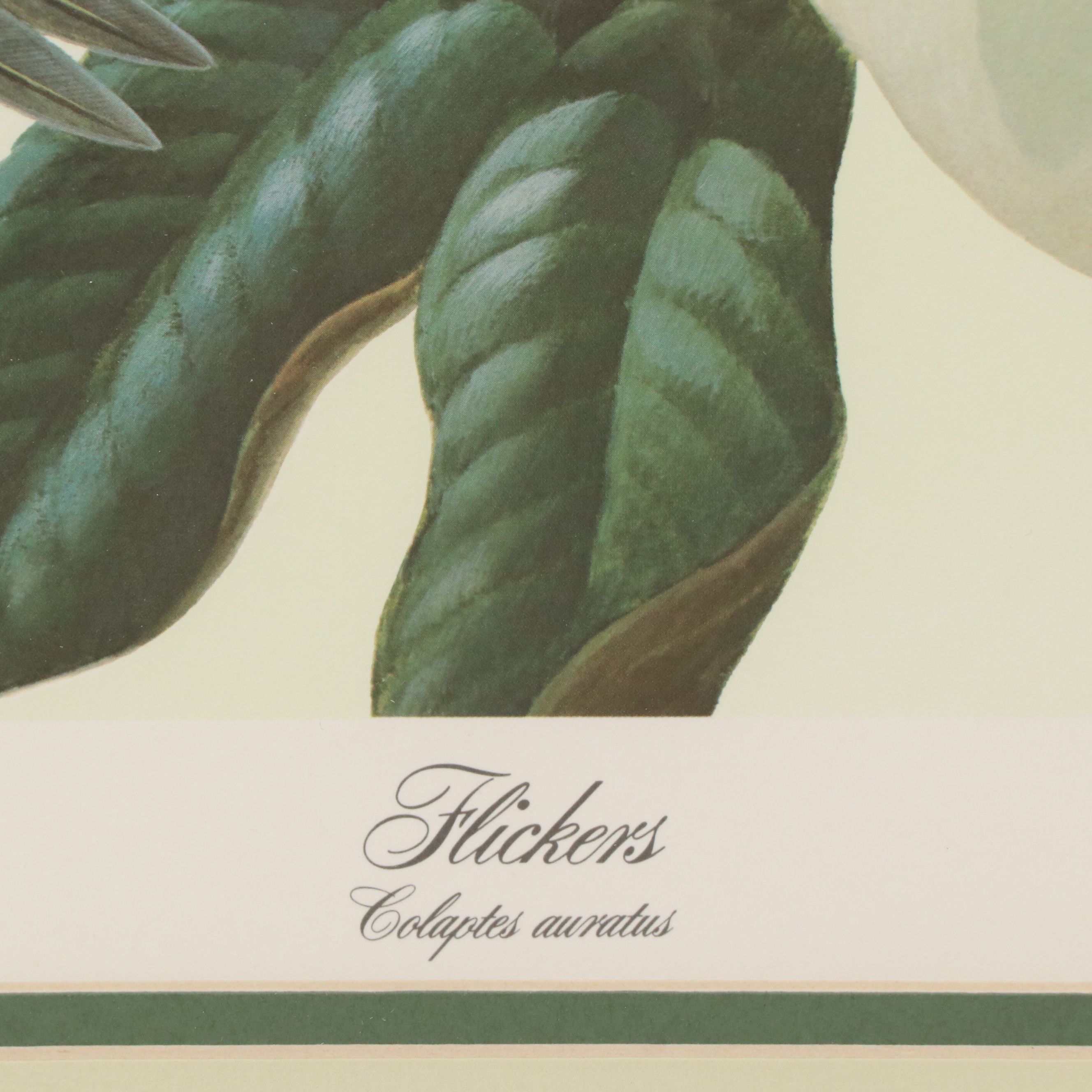 John A. Ruthven Offset Lithograph "Flickers"