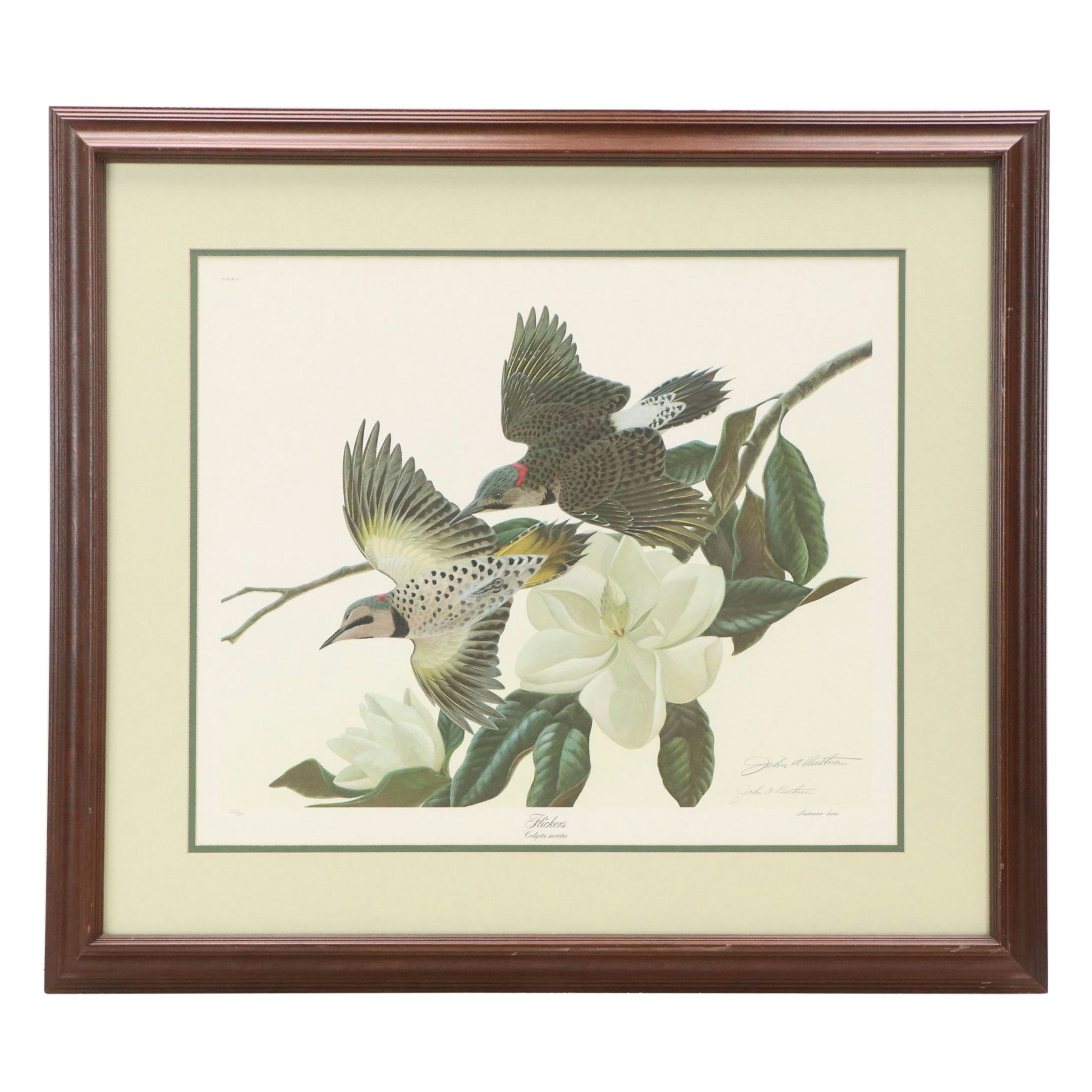 John A. Ruthven Offset Lithograph "Flickers"