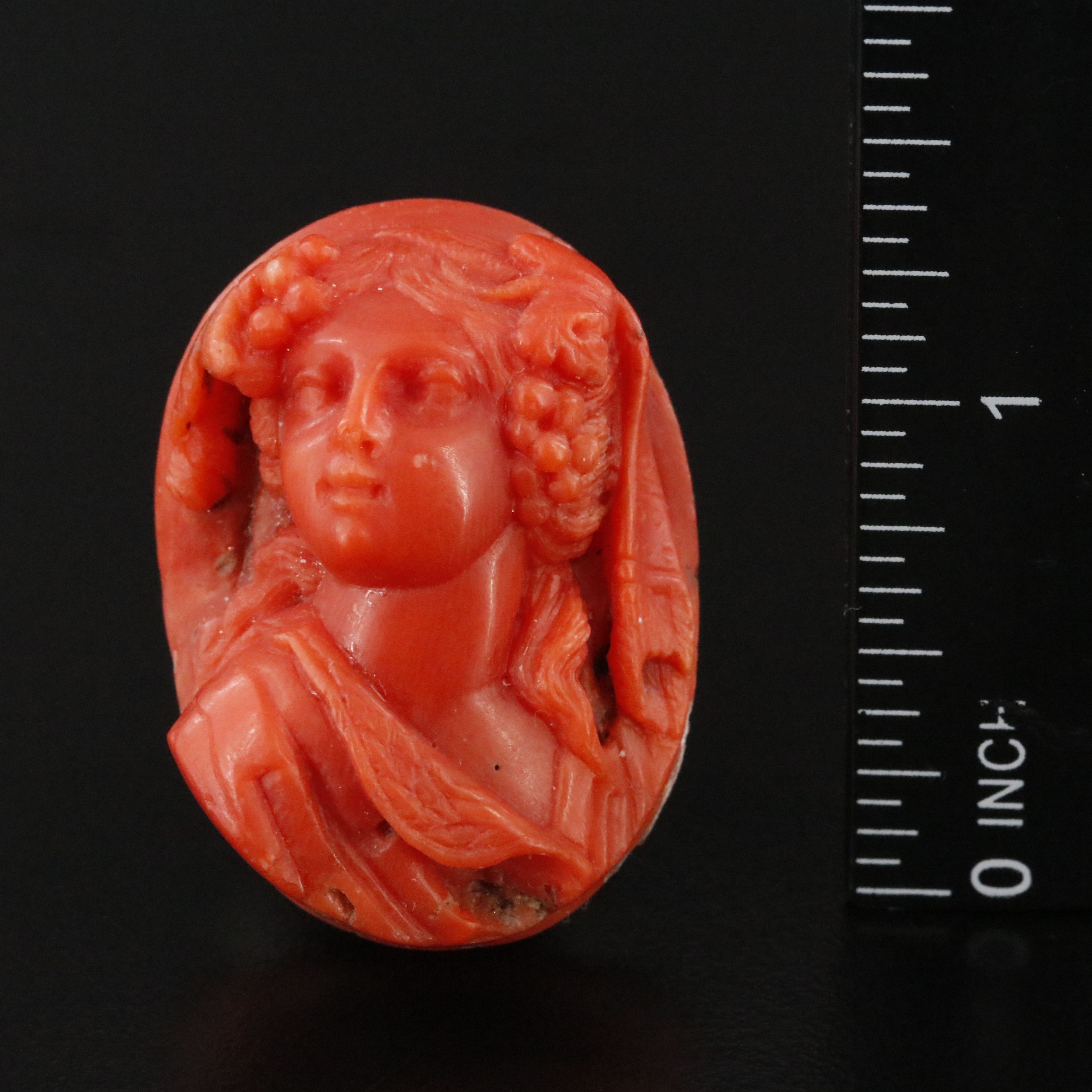 Loose Coral Cameo