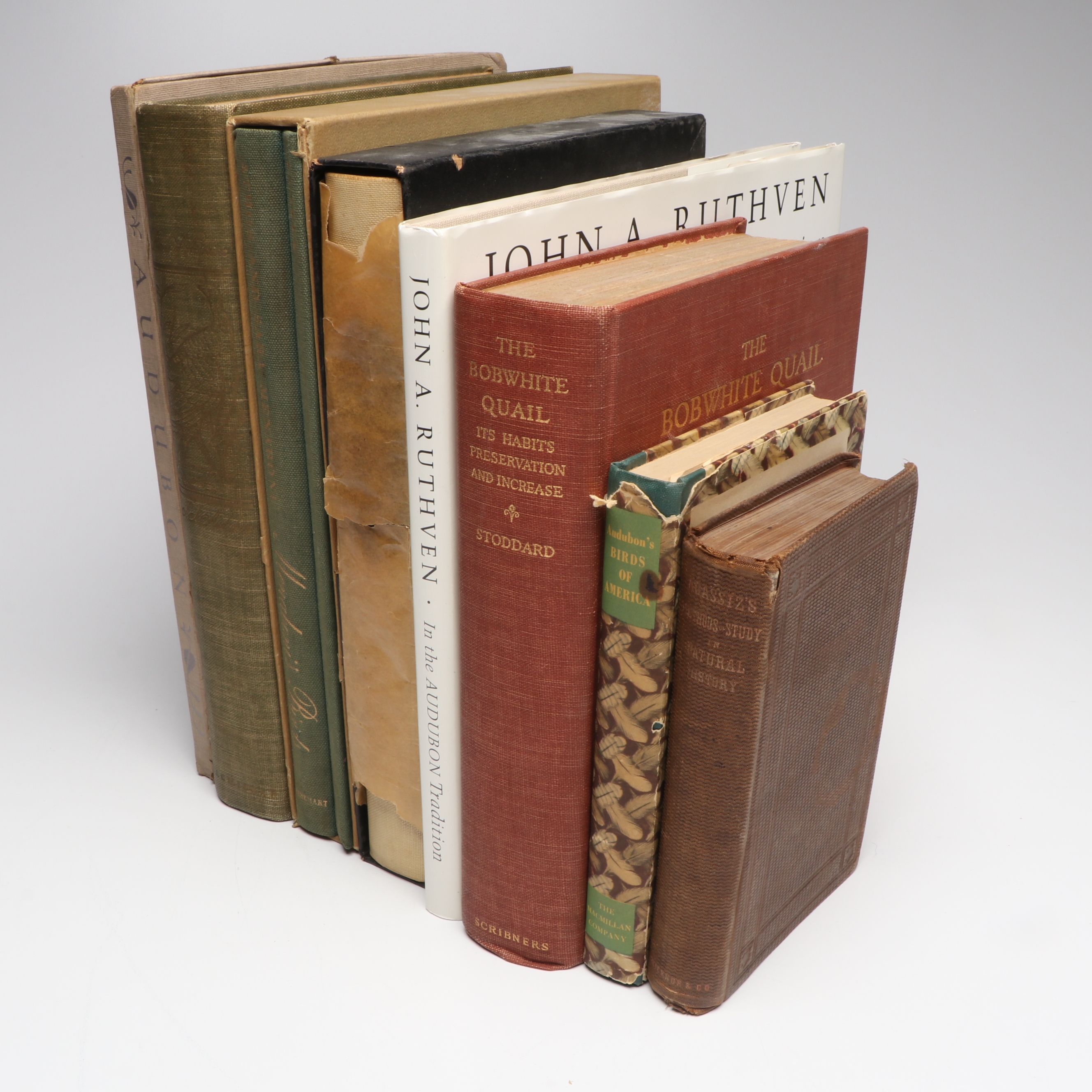 John James Audubon "The Birds of America" with More Bird Art Books and Prints