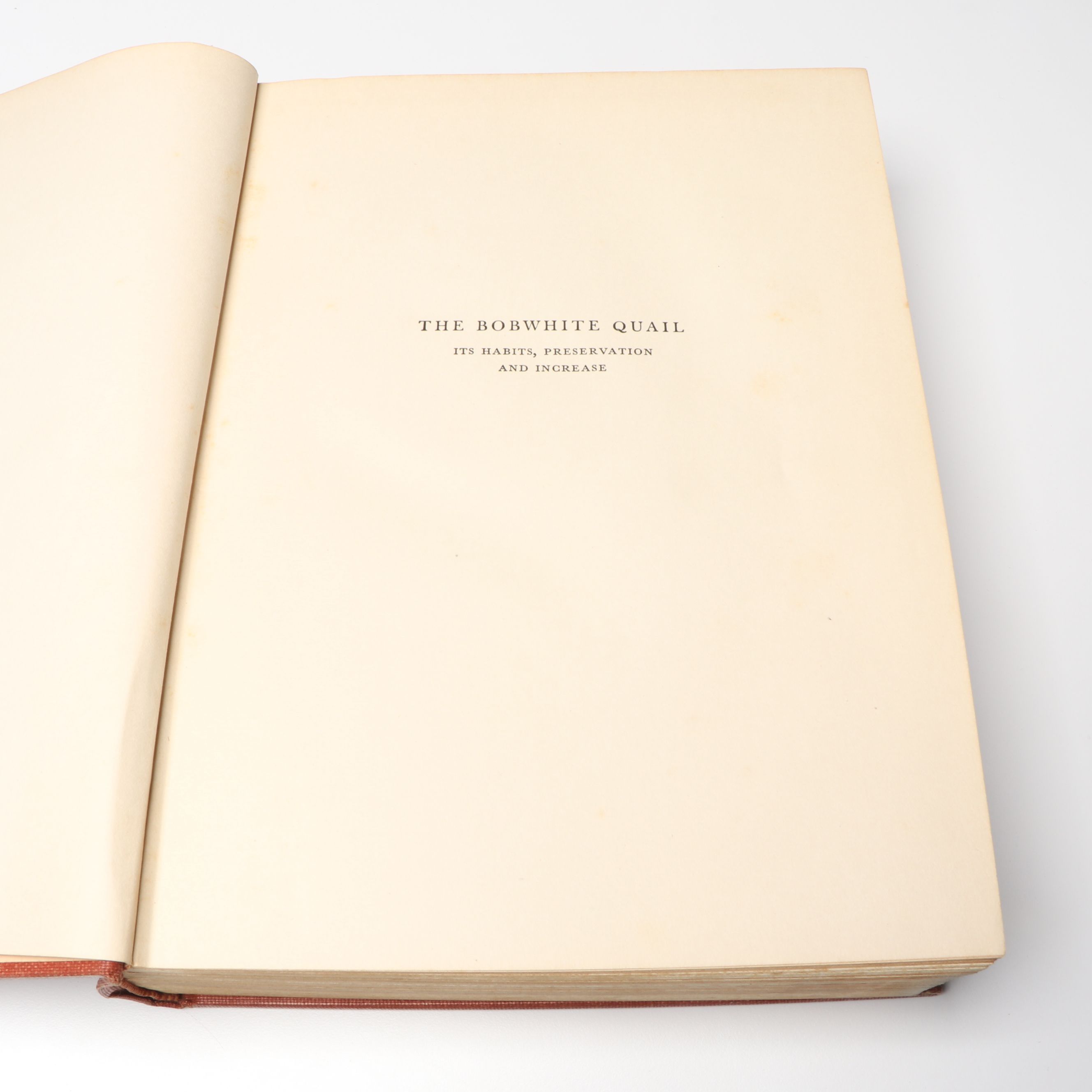 John James Audubon "The Birds of America" with More Bird Art Books and Prints