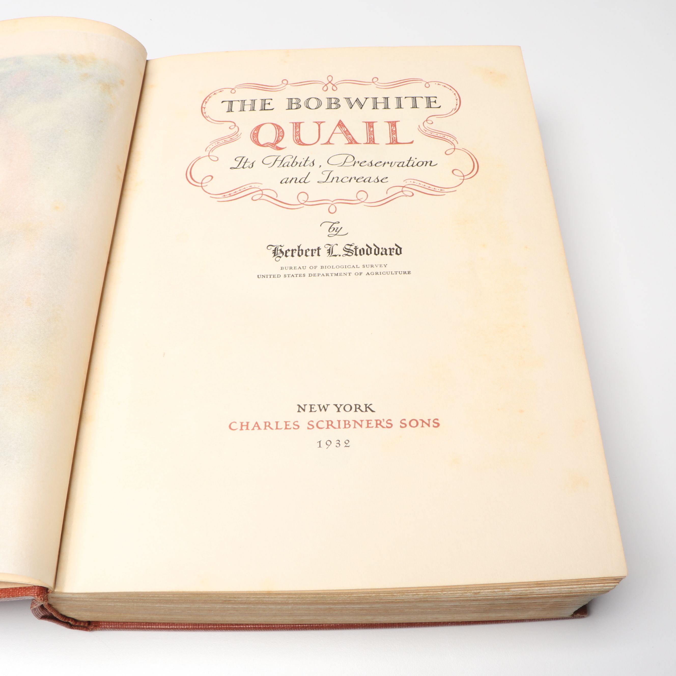 John James Audubon "The Birds of America" with More Bird Art Books and Prints