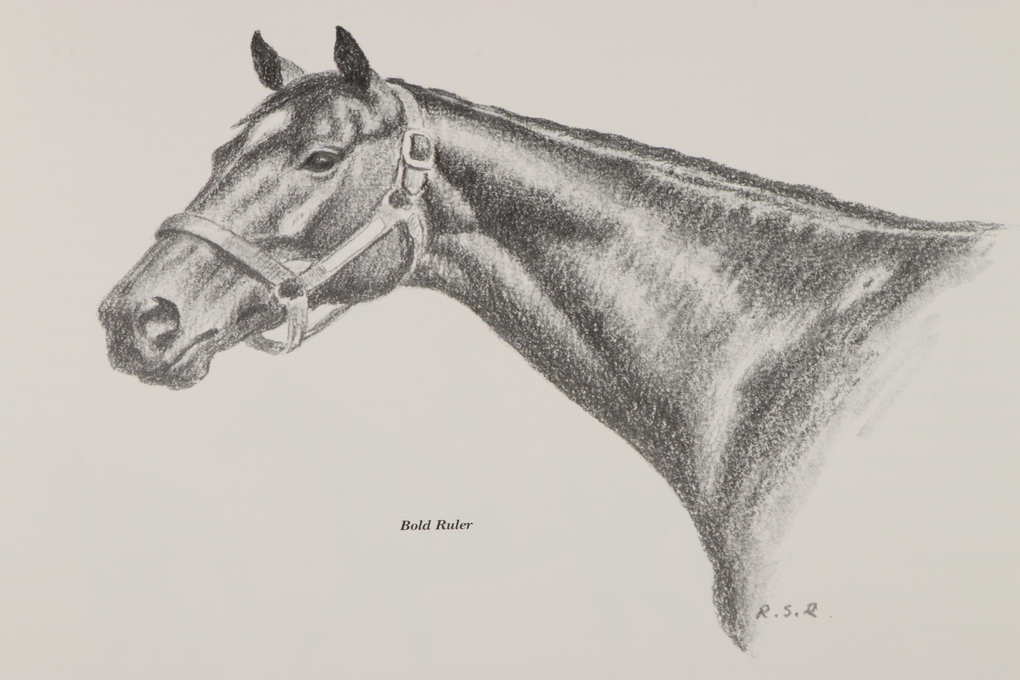 "Racing in Art" by John Fairley and More Horse Racing Books